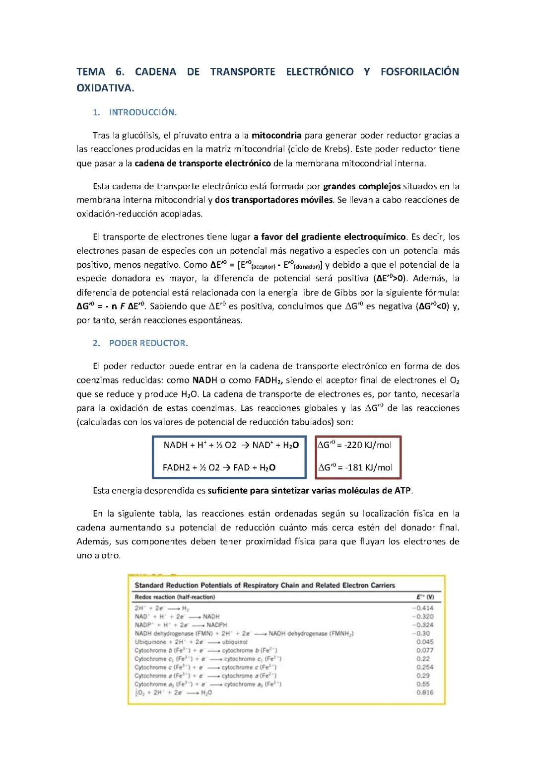 Transporte de electrones y fosforilación oxidativa: Proceso bioquímico esencial