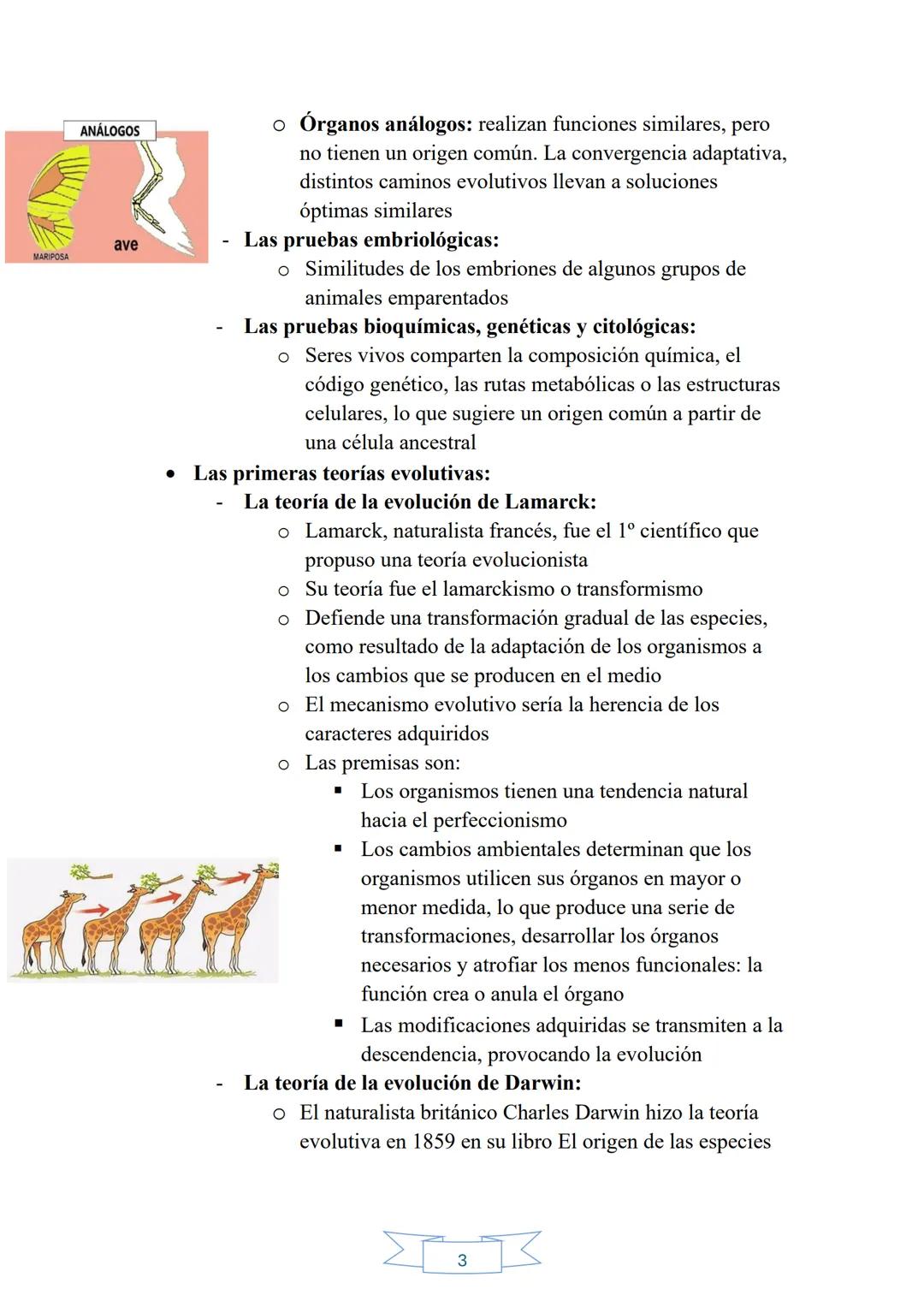 # TEMA 12: LA EVOLUCIÓN DE LA VIDA EN LA TIERRA

1. La evolución: el origen de la biodiversidad:

- La evolución biológica está aceptada por