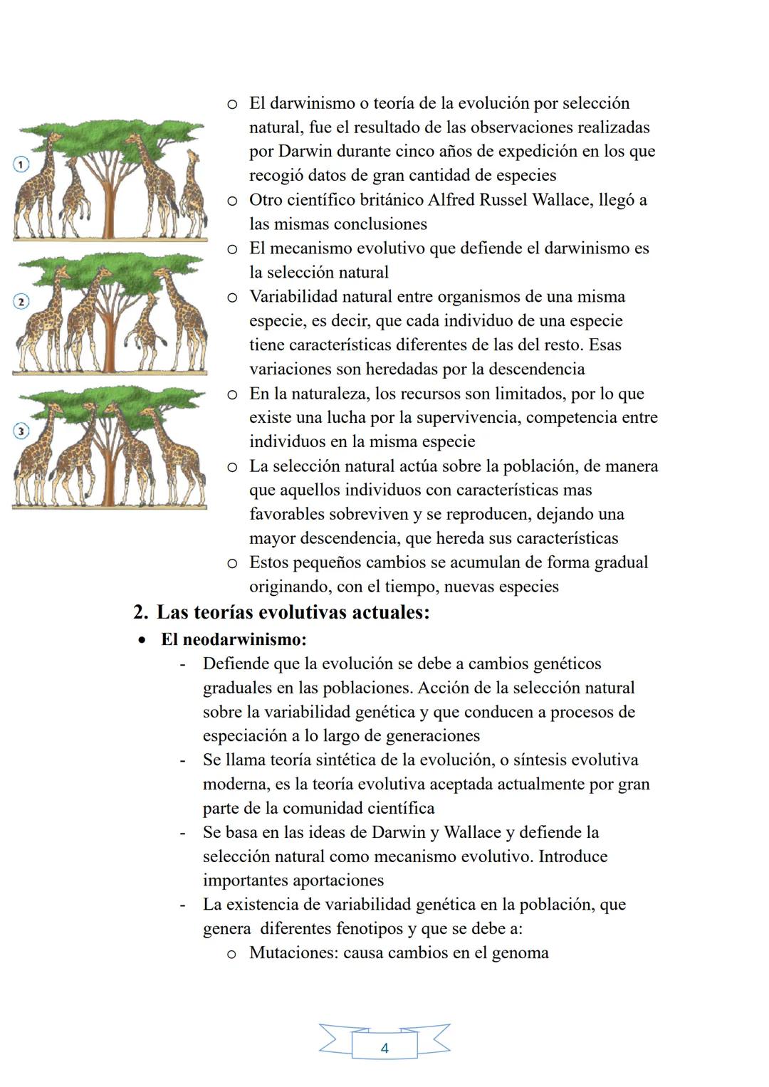 # TEMA 12: LA EVOLUCIÓN DE LA VIDA EN LA TIERRA

1. La evolución: el origen de la biodiversidad:

- La evolución biológica está aceptada por