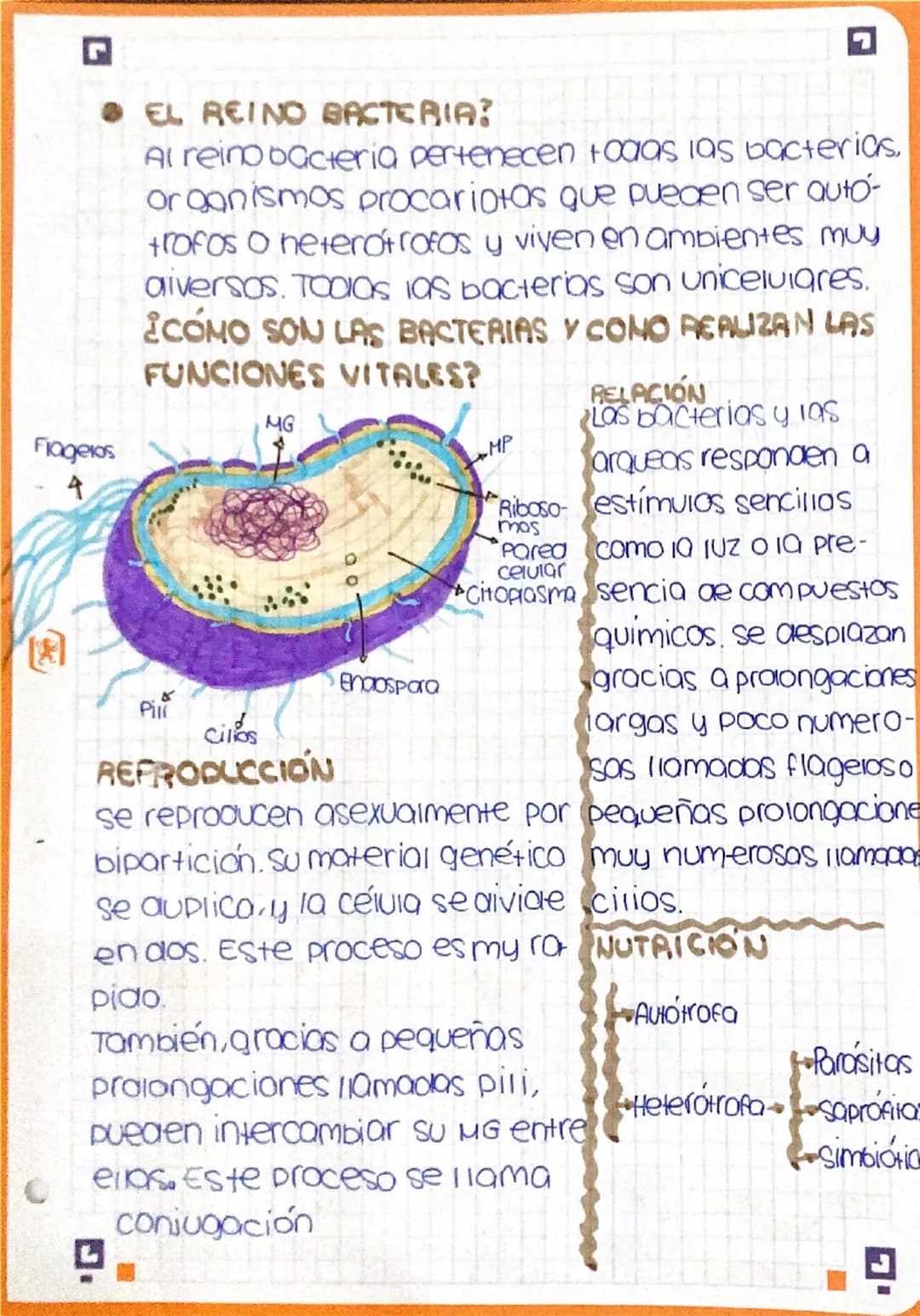 r
# Resumen 1.3

son microorganismos 1000s los seres que
pueden verse únicamente mediante el uso
aer microscopio.

La mayoría de los microor