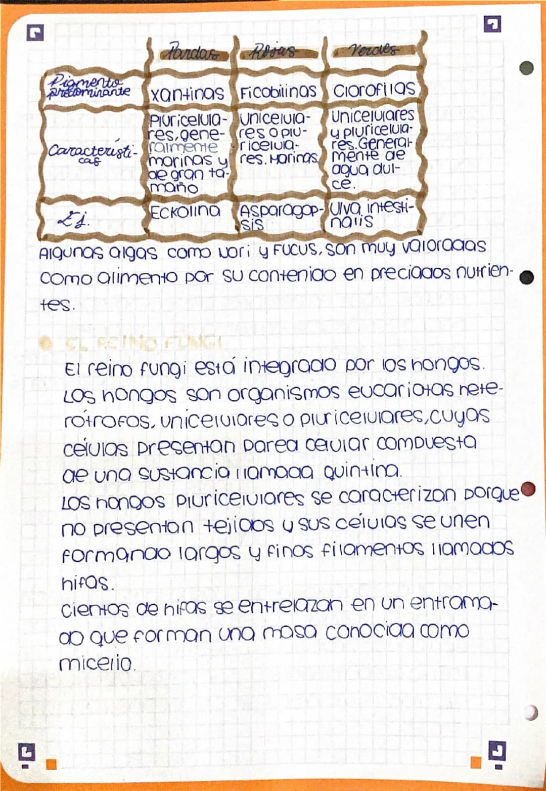 r
# Resumen 1.3

son microorganismos 1000s los seres que
pueden verse únicamente mediante el uso
aer microscopio.

La mayoría de los microor