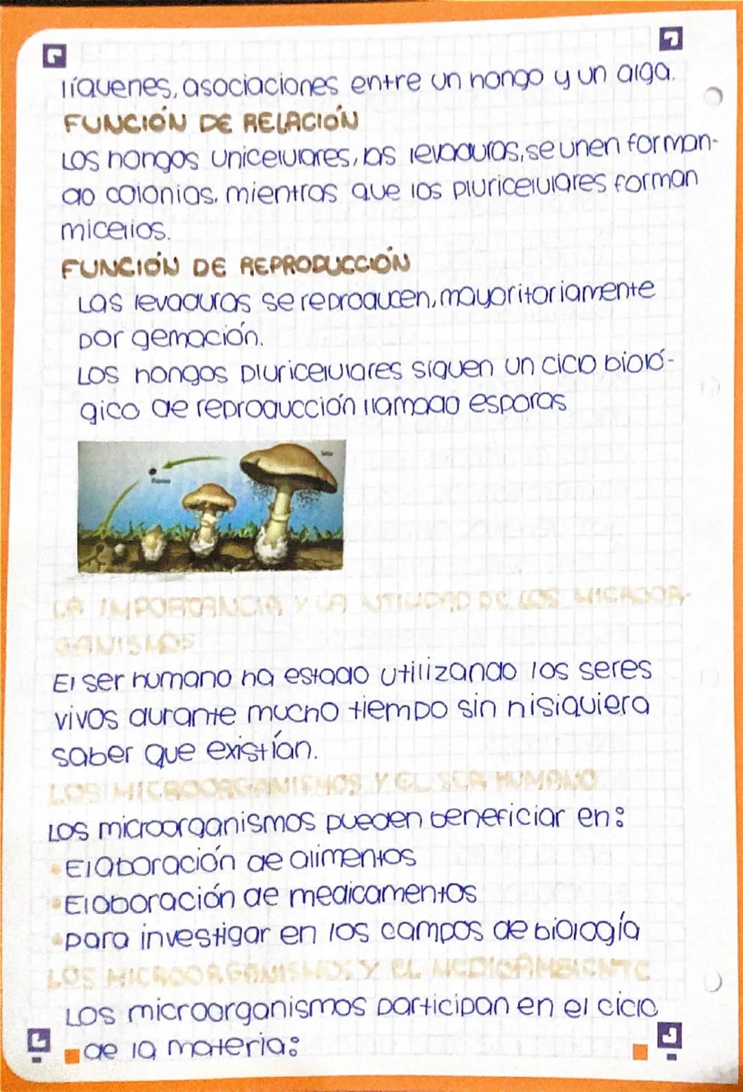 r
# Resumen 1.3

son microorganismos 1000s los seres que
pueden verse únicamente mediante el uso
aer microscopio.

La mayoría de los microor