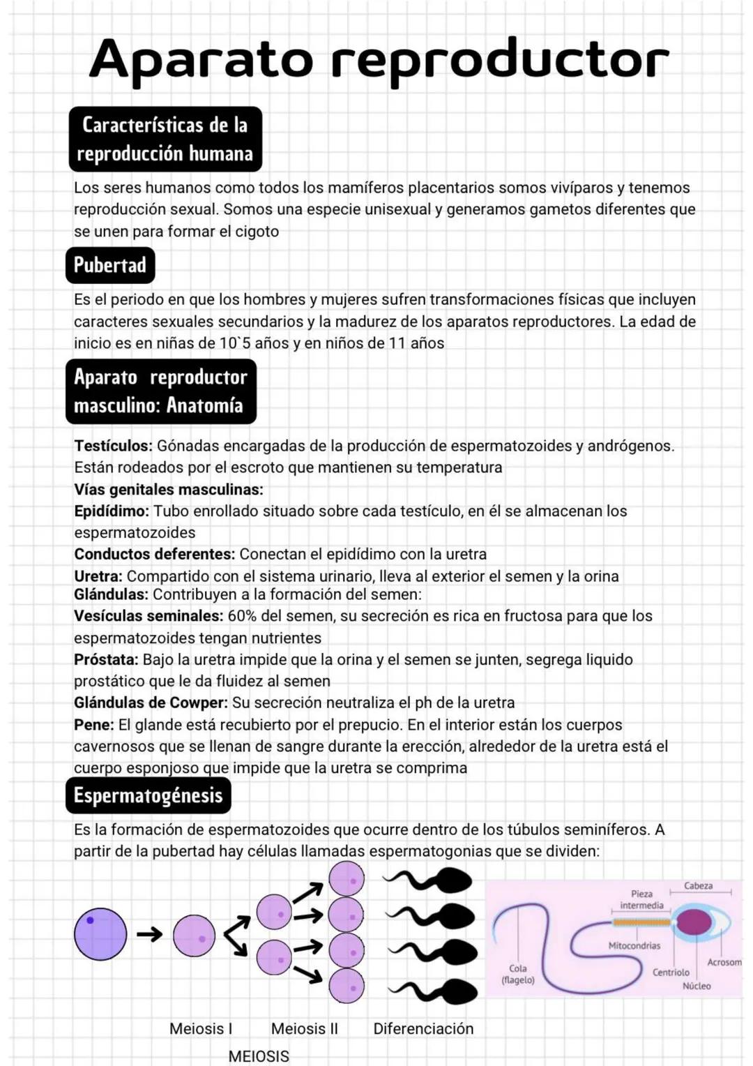 Aparato reproductor
Características de la
reproducción humana
Los seres humanos como todos los mamíferos placentarios somos vivíparos y tene