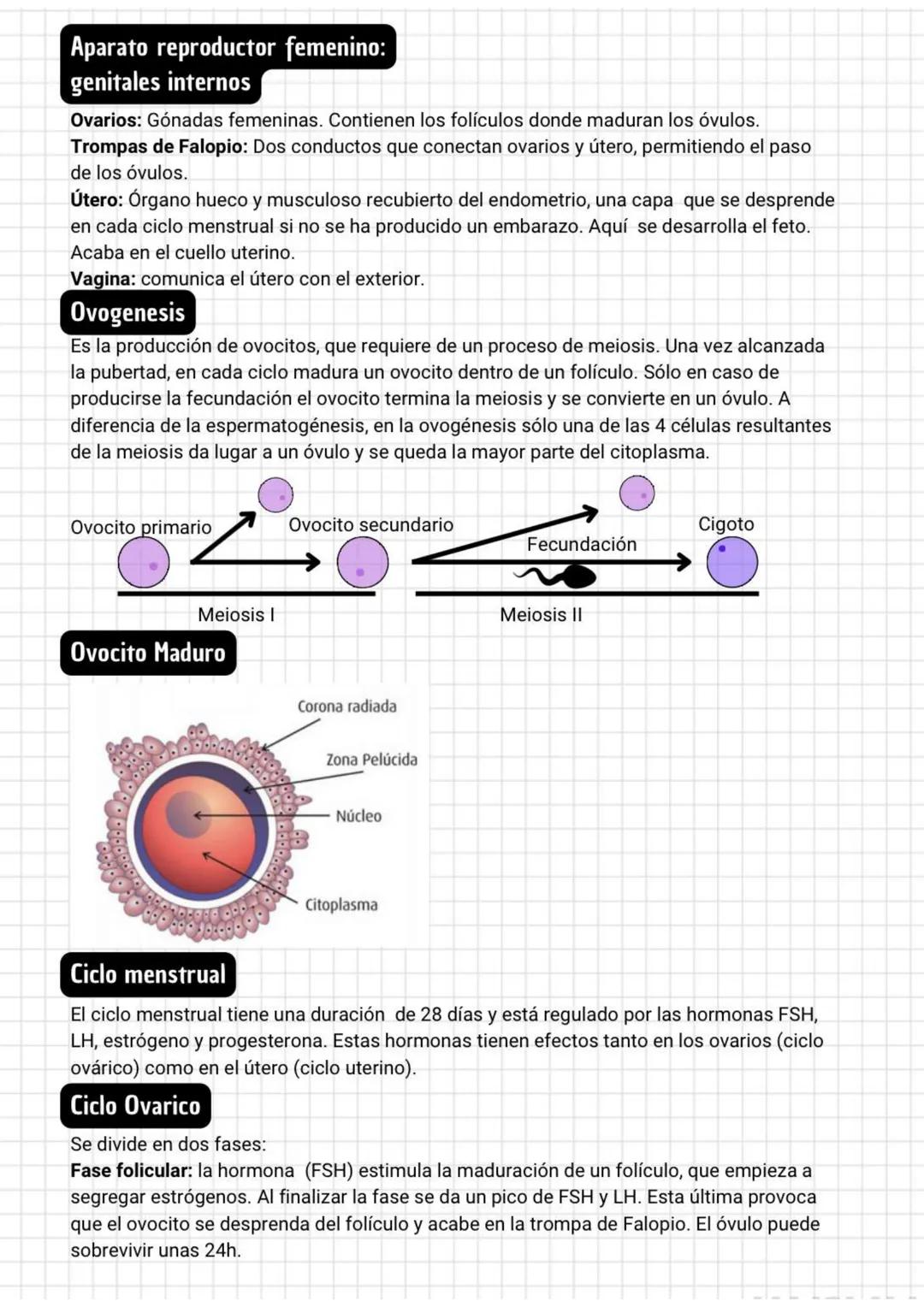 Aparato reproductor
Características de la
reproducción humana
Los seres humanos como todos los mamíferos placentarios somos vivíparos y tene