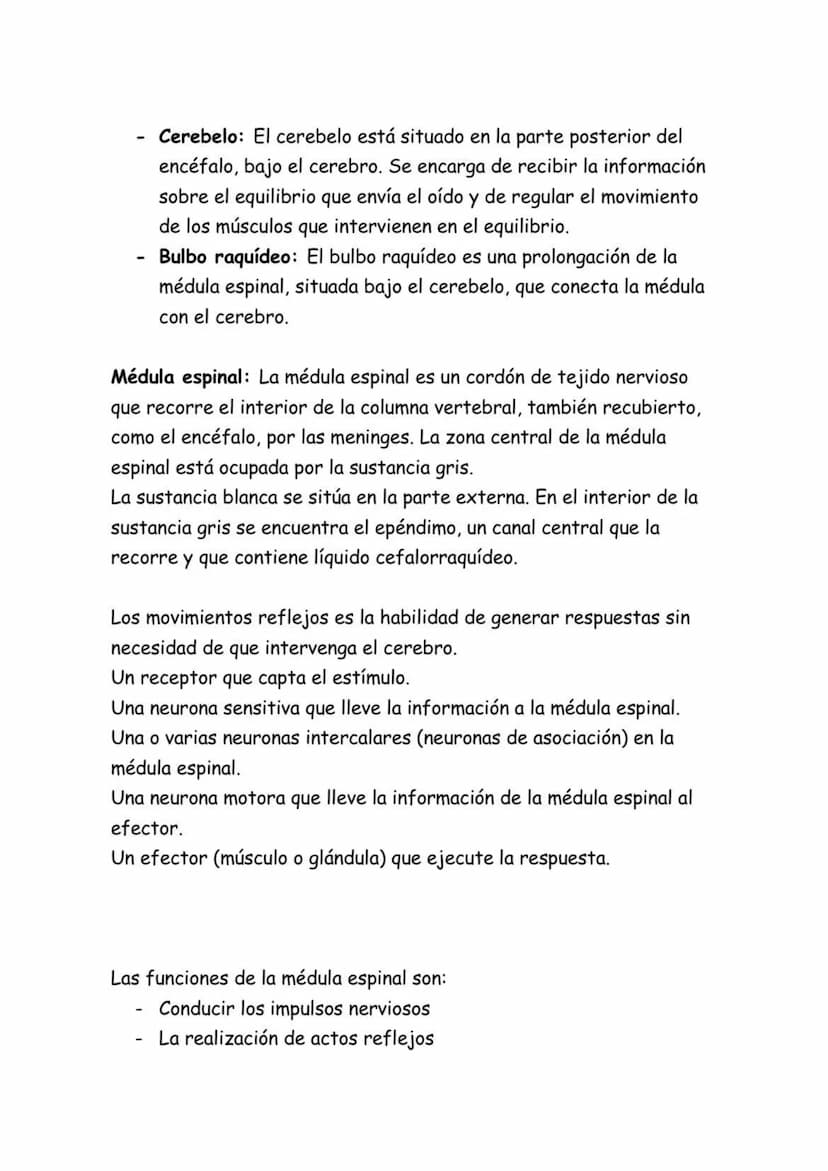 APUNTES BIOLOGÍA
SISTEMA NERVIOSO CENTRAL:
El sistema nervioso central es el encargado de recibir los estímulos
que le llegan tanto del medi