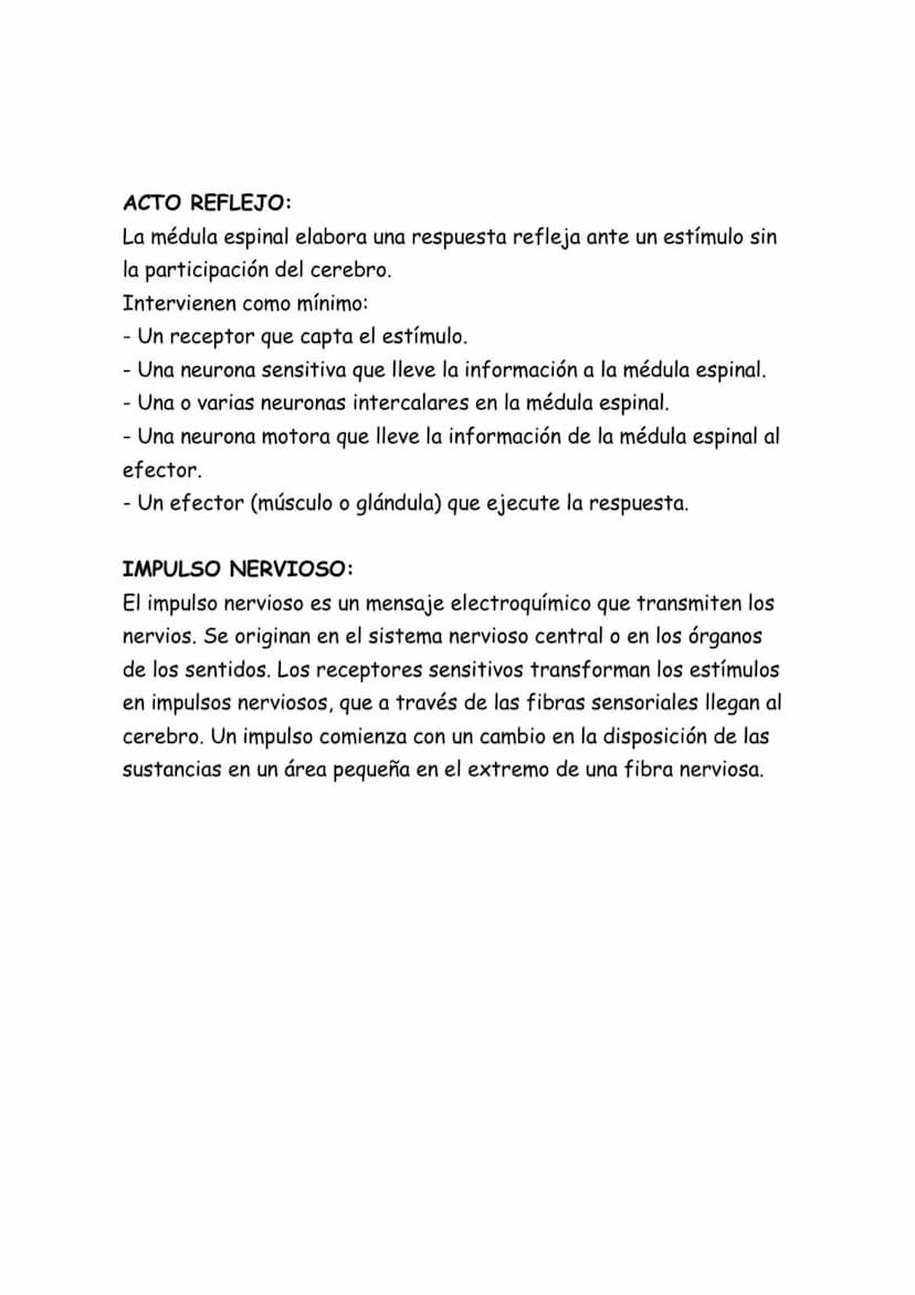 APUNTES BIOLOGÍA
SISTEMA NERVIOSO CENTRAL:
El sistema nervioso central es el encargado de recibir los estímulos
que le llegan tanto del medi