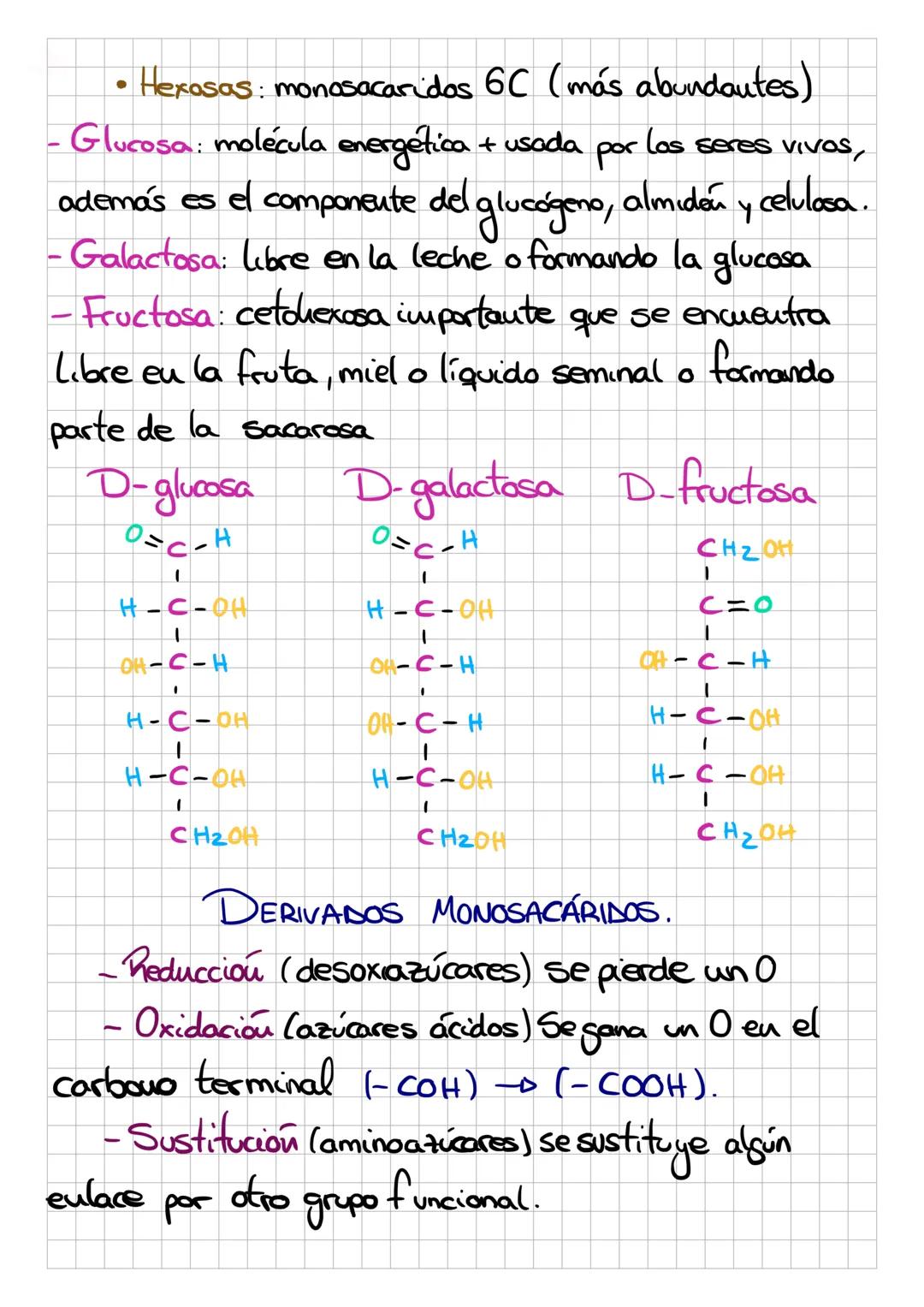 G
O
S
Biomoléculas orgánicas
por C, H, Ny a
veces N, Py S. Químicamente polialcoholes unidos a
un grupo carbouilo, que puede ser una cetona.