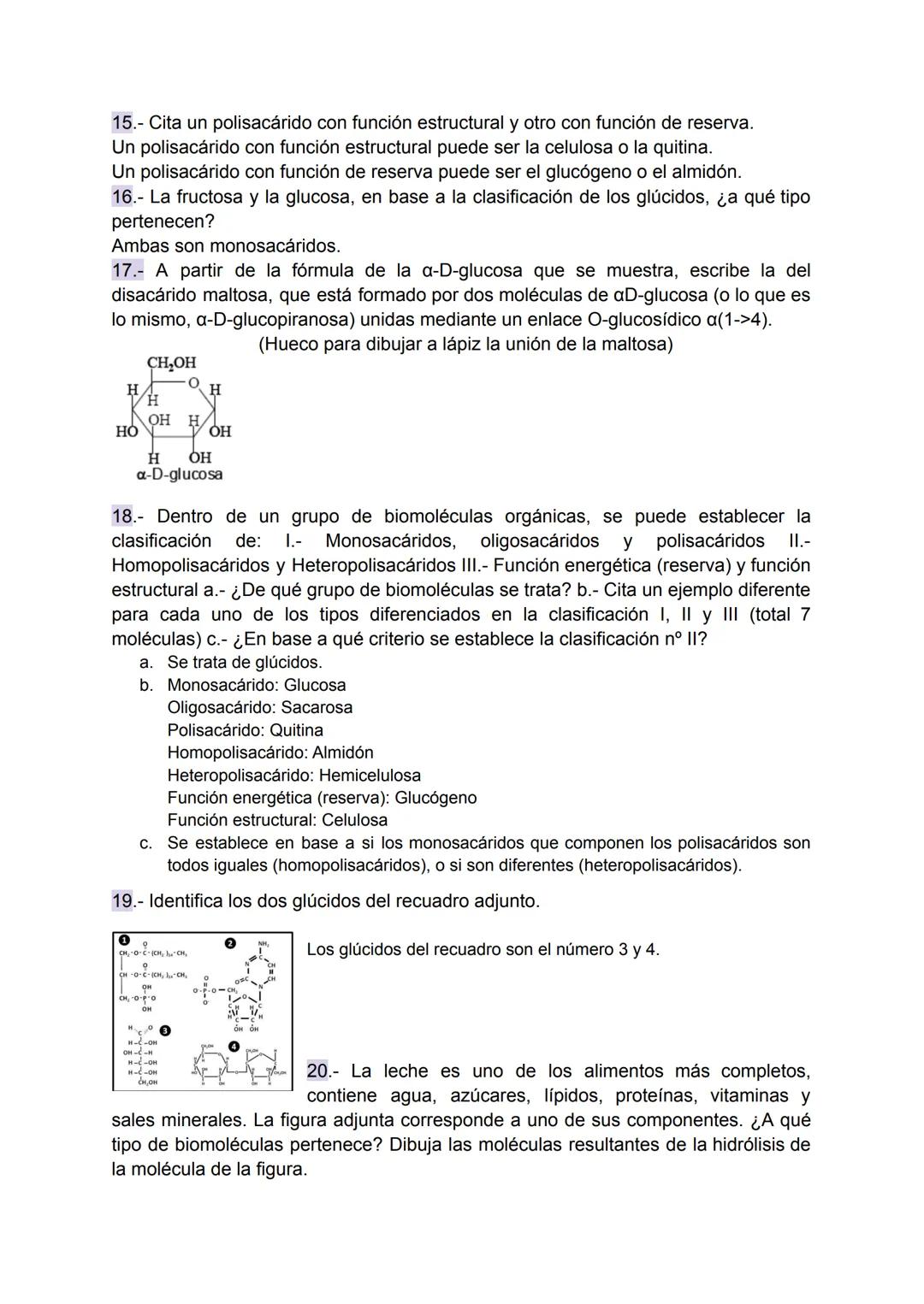 # Preguntas tipo EBAU - Tema Glúcidos

1.- Indica qué moléculas se obtienen de la hidrólisis de la sacarosa.
La hidrólisis de la sacarosa pr