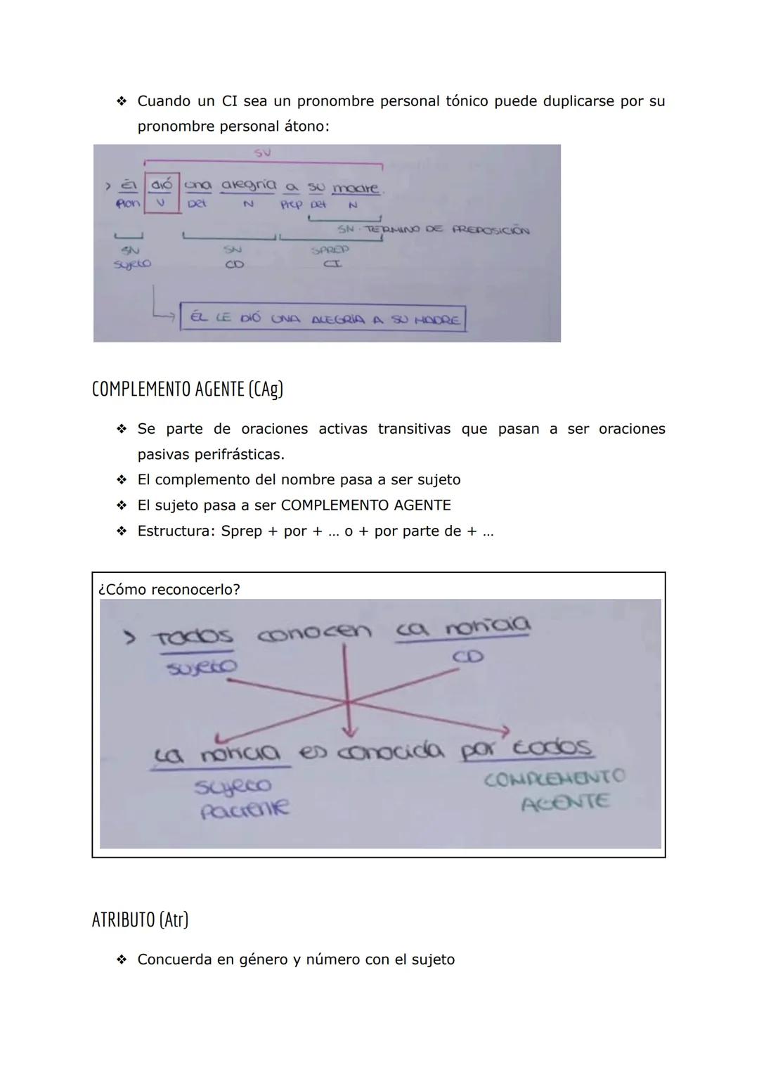 LA ORACIÓN:
SINTAGMA
Secuencia formada por 1 o más palabras que cumple una función
sintáctica.
Tiene un núcleo que determinará el tipo de si