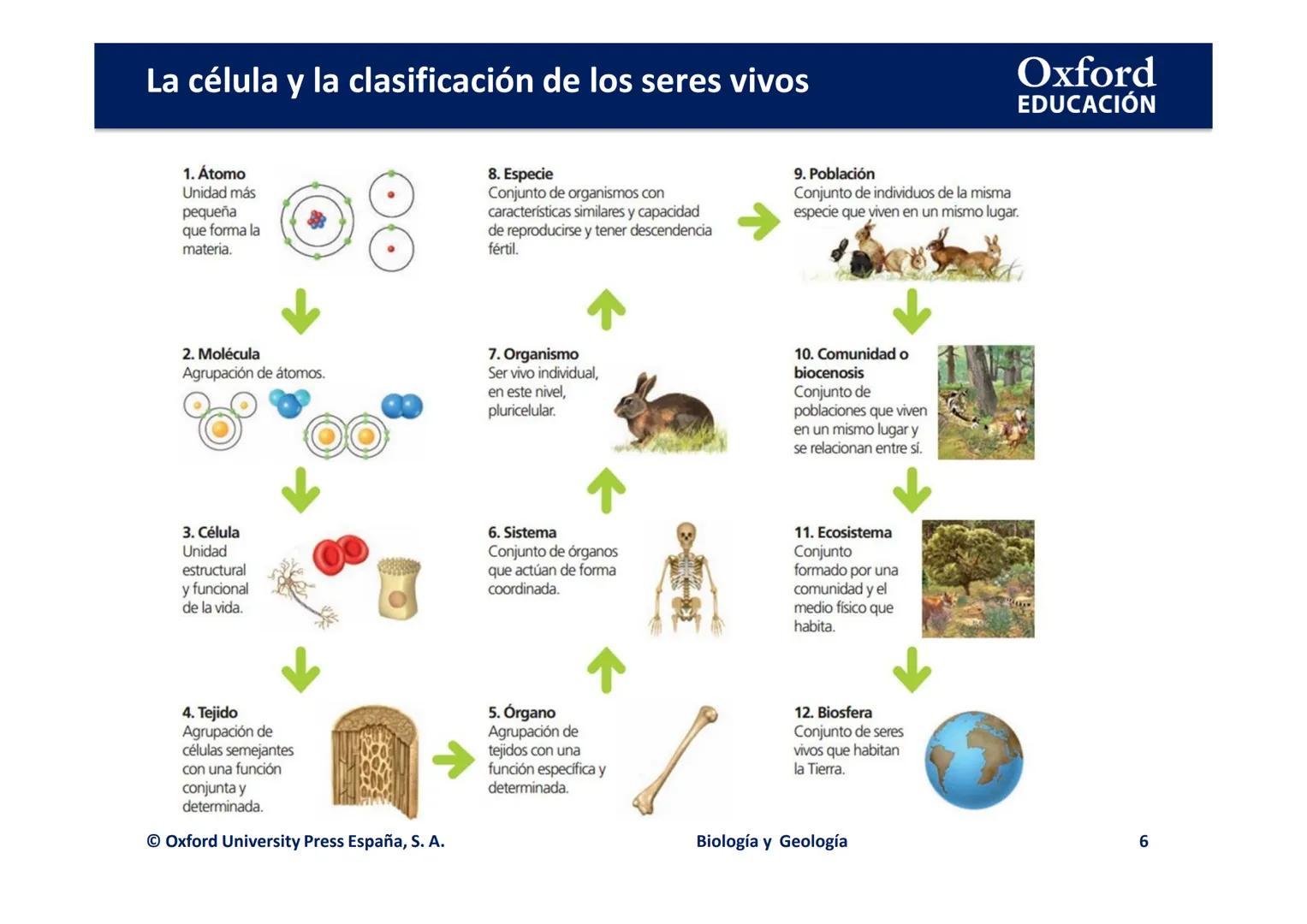 Oxford
EDUCACIÓN

# LA CÉLULA Y LA

# CLASIFICACIÓN DE LOS

# SERES VIVOS

Biología y Geología

IDOMI
DOMI MINA La célula y la clasificación
