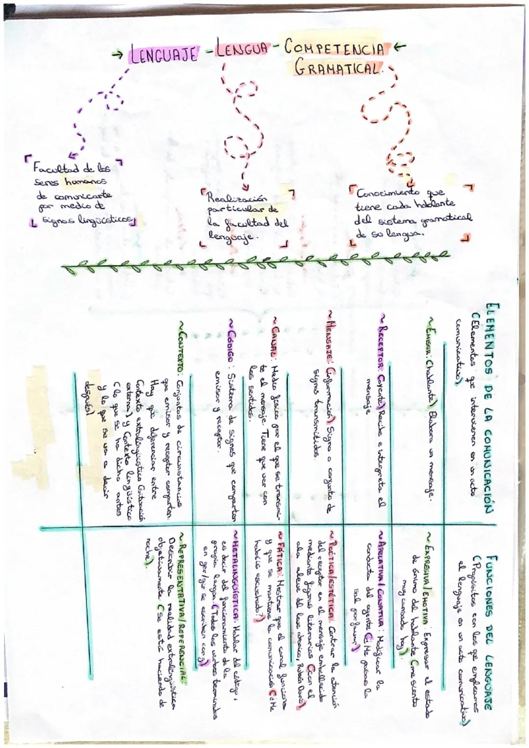 GRAMATICAL..
→ LENGUAJE -LENGUA - COMPETENCIA
L
Conocimiento que
tiene cada hablante
доофитов гигроте фор
Facultad de las
Seres humanos
Real