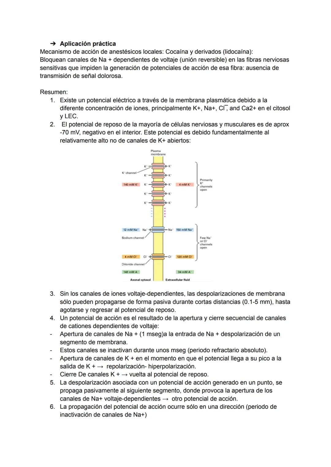 TEMA 4: POTENCIAL DE ACCIÓN
→ Excitabilidad celular
Capacidad de la célula de responder a estímulos a través de modificaciones de su potenci