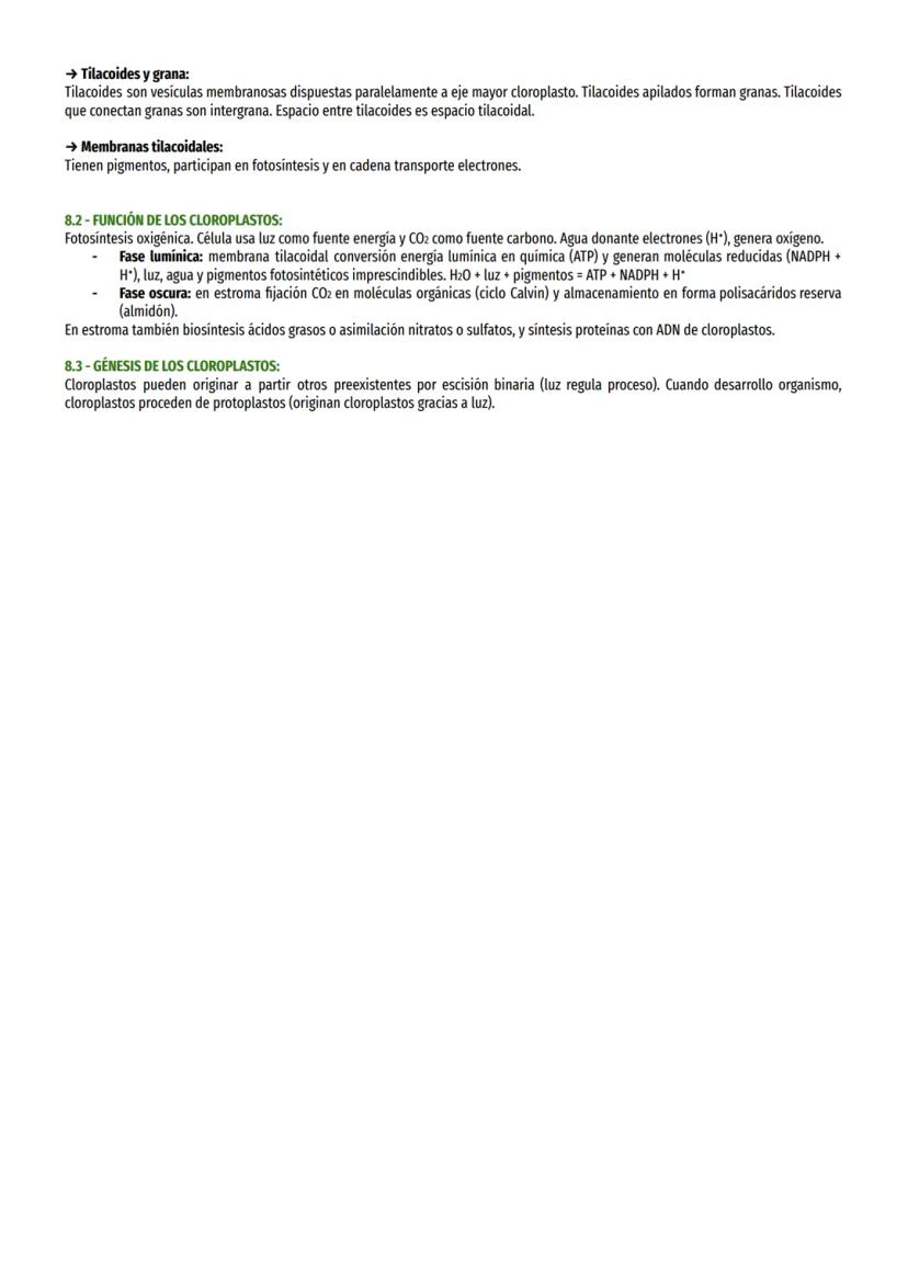 TEMA 8 - ORGÁNULOS MEMBRANOSOS:
1- TIPOS ORGÁNULOS MEMBRANOSOS:
Sistema endomembranas: vesículas membranosas relacionadas entre sí y con mem