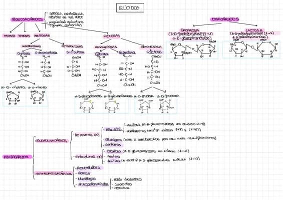 Know ESQUEMA GLÚCIDOS thumbnail