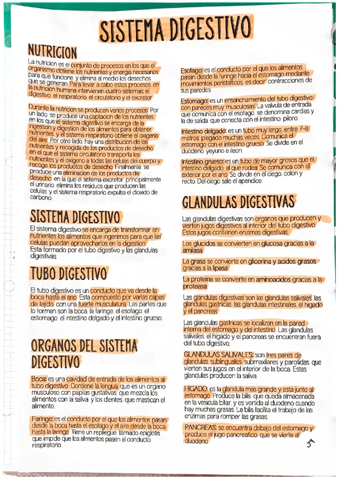 SISTEMA DIGESTIVO
NUTRICION
La nutricion es el conjunto de procesos en los que el
organismo obtiene los nutrientes y energia necesarios
para