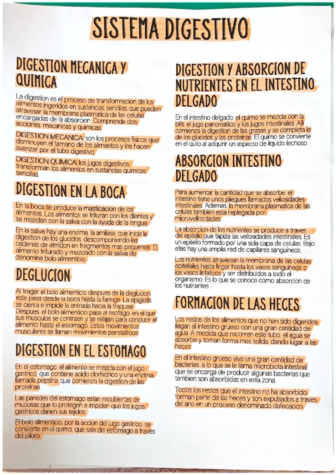 SISTEMA DIGESTIVO
NUTRICION
La nutricion es el conjunto de procesos en los que el
organismo obtiene los nutrientes y energia necesarios
para
