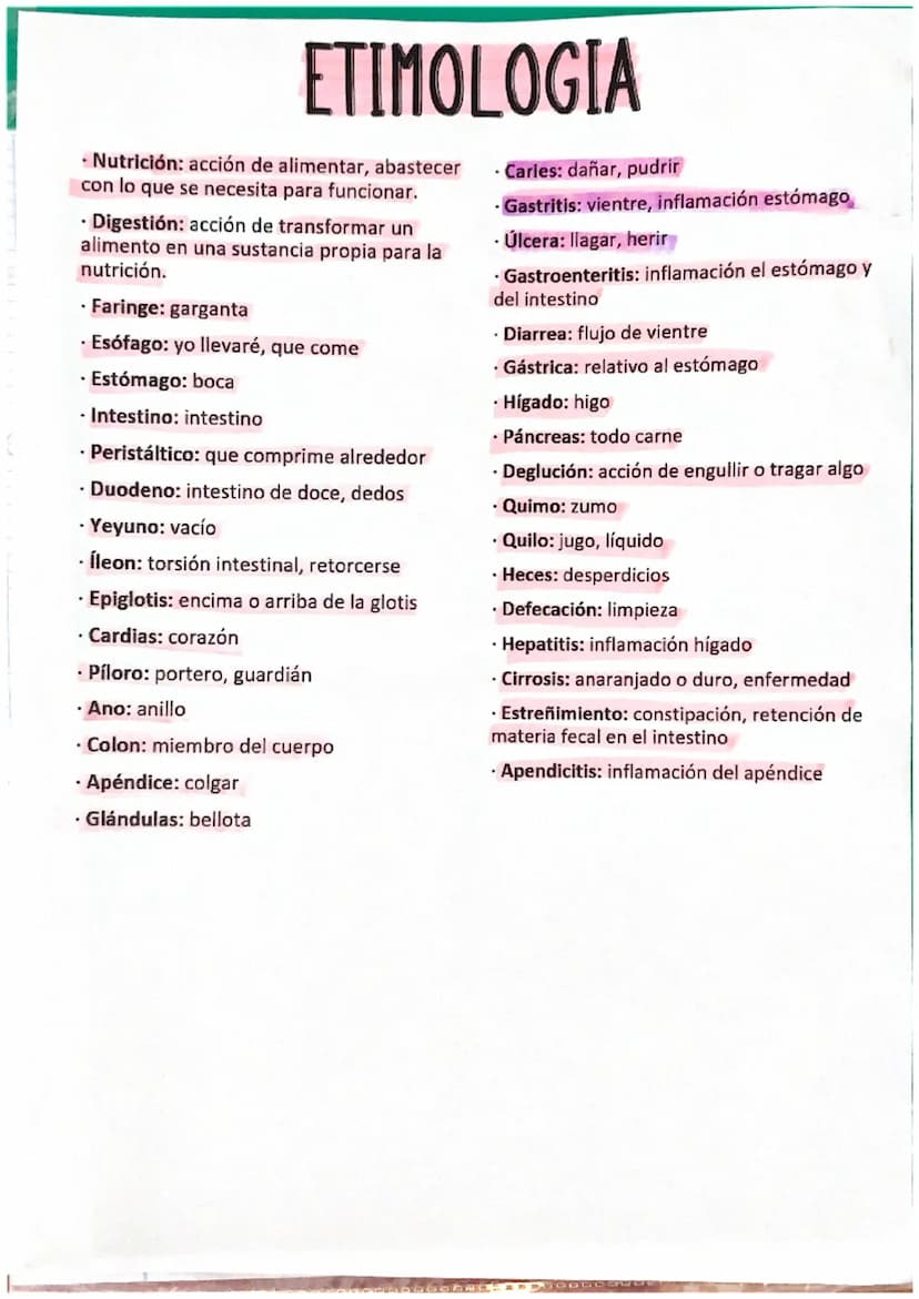 SISTEMA DIGESTIVO
NUTRICION
La nutricion es el conjunto de procesos en los que el
organismo obtiene los nutrientes y energia necesarios
para