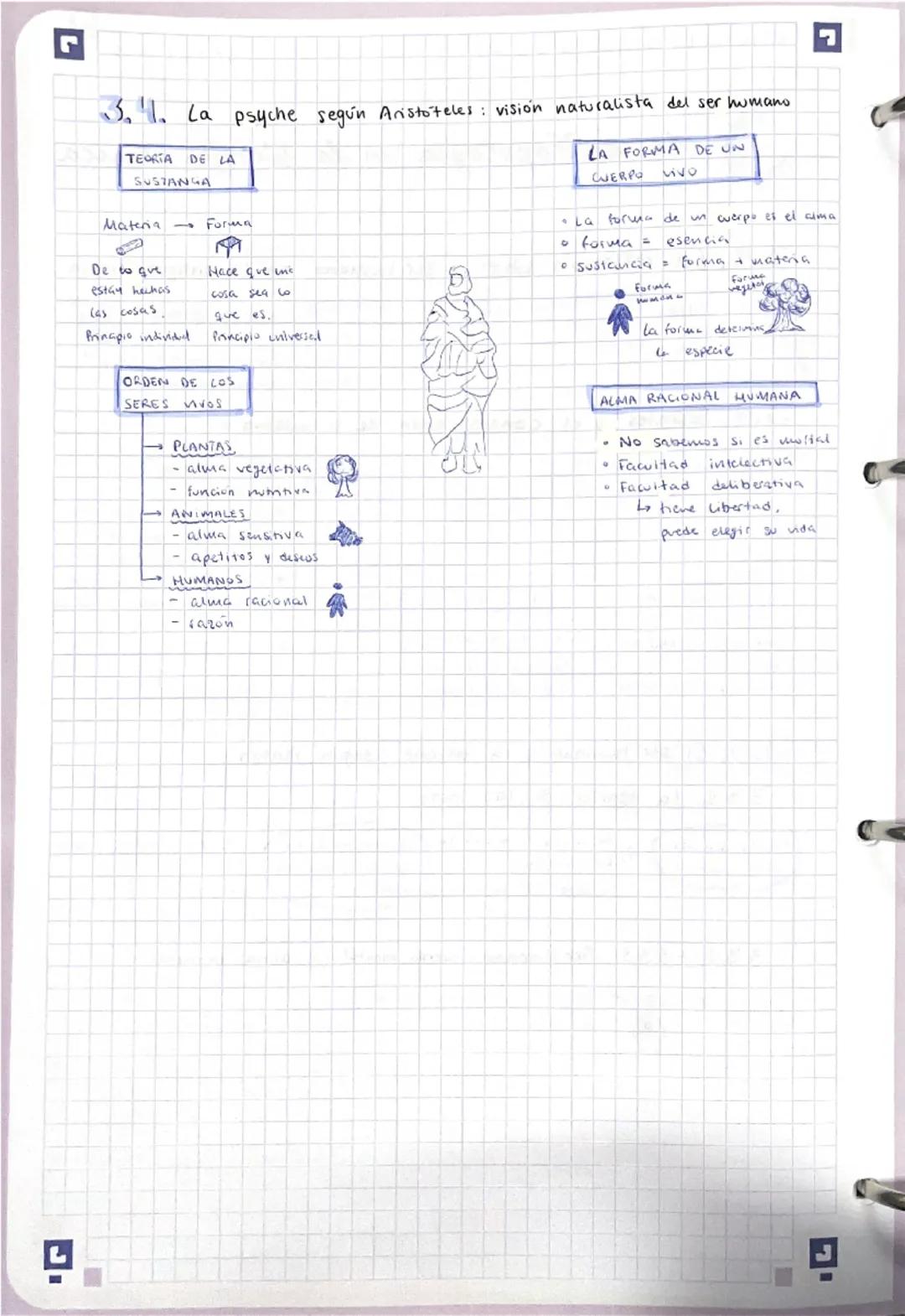 Filosofia 12 Bachillerato 1 trimestre | Iris Arenas
3/10/2025

3 la antropologia en la filosofía clásica

3.1. La reflexión sobre el ser hum