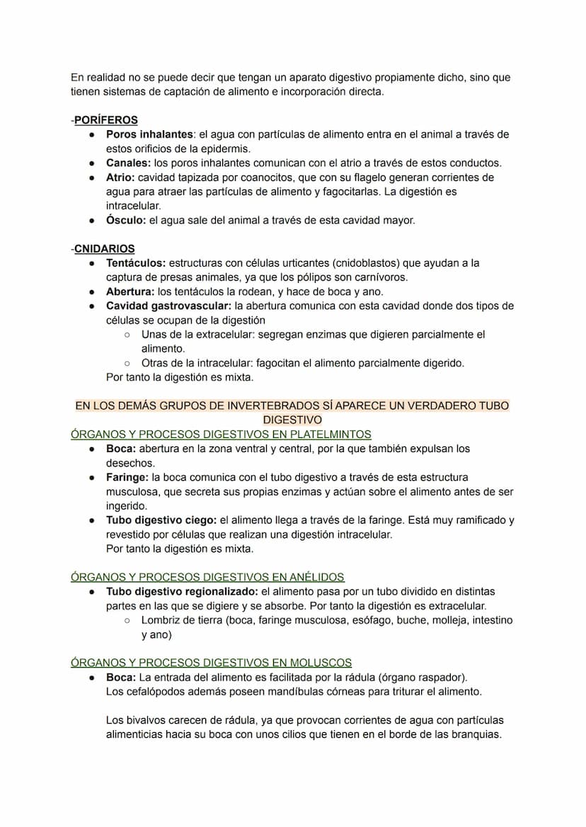 LOS PROCESOS DIGESTIVOS
La nutrición de los animales es de tipo heterótrofa.
BIOLOGÍA TEMA 8
En animales sencillos (ej: poríferos, cnidarios