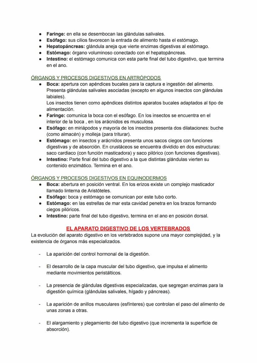 LOS PROCESOS DIGESTIVOS
La nutrición de los animales es de tipo heterótrofa.
BIOLOGÍA TEMA 8
En animales sencillos (ej: poríferos, cnidarios