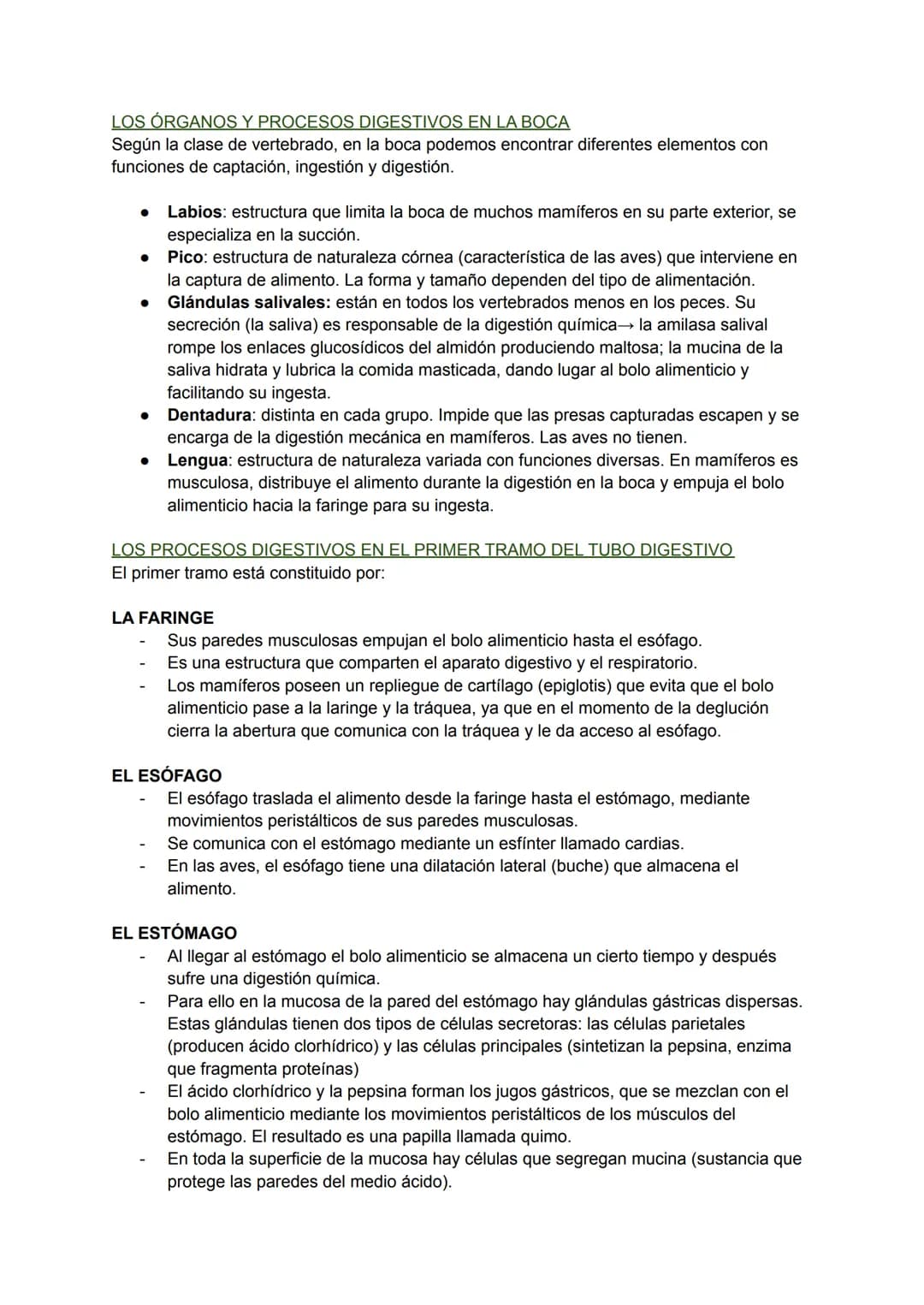 LOS PROCESOS DIGESTIVOS
La nutrición de los animales es de tipo heterótrofa.
BIOLOGÍA TEMA 8
En animales sencillos (ej: poríferos, cnidarios