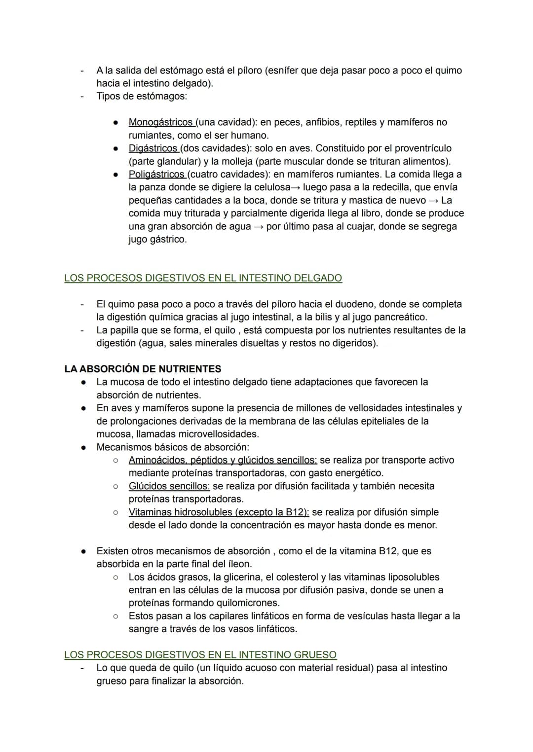 LOS PROCESOS DIGESTIVOS
La nutrición de los animales es de tipo heterótrofa.
BIOLOGÍA TEMA 8
En animales sencillos (ej: poríferos, cnidarios