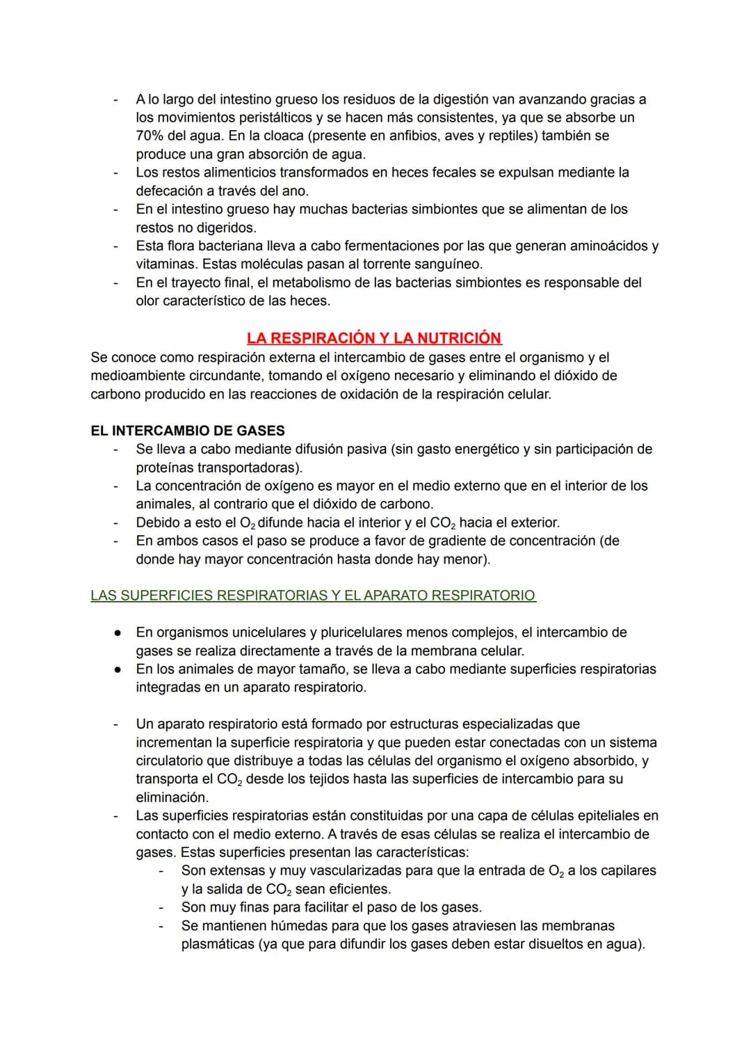 LOS PROCESOS DIGESTIVOS
La nutrición de los animales es de tipo heterótrofa.
BIOLOGÍA TEMA 8
En animales sencillos (ej: poríferos, cnidarios