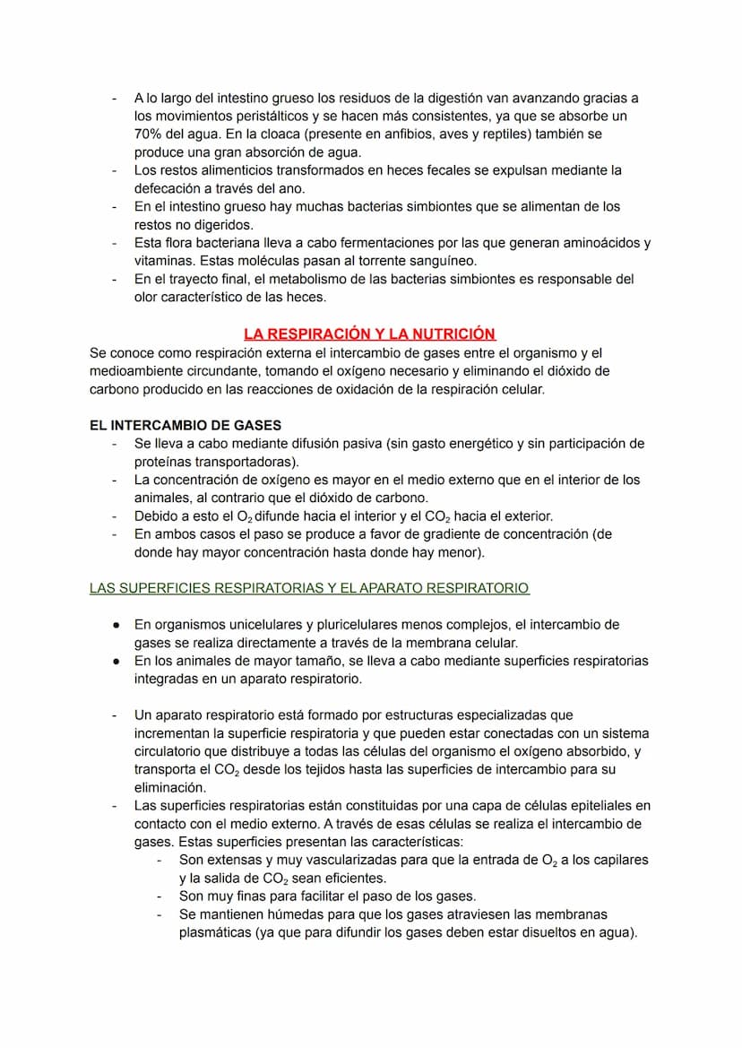 LOS PROCESOS DIGESTIVOS
La nutrición de los animales es de tipo heterótrofa.
BIOLOGÍA TEMA 8
En animales sencillos (ej: poríferos, cnidarios