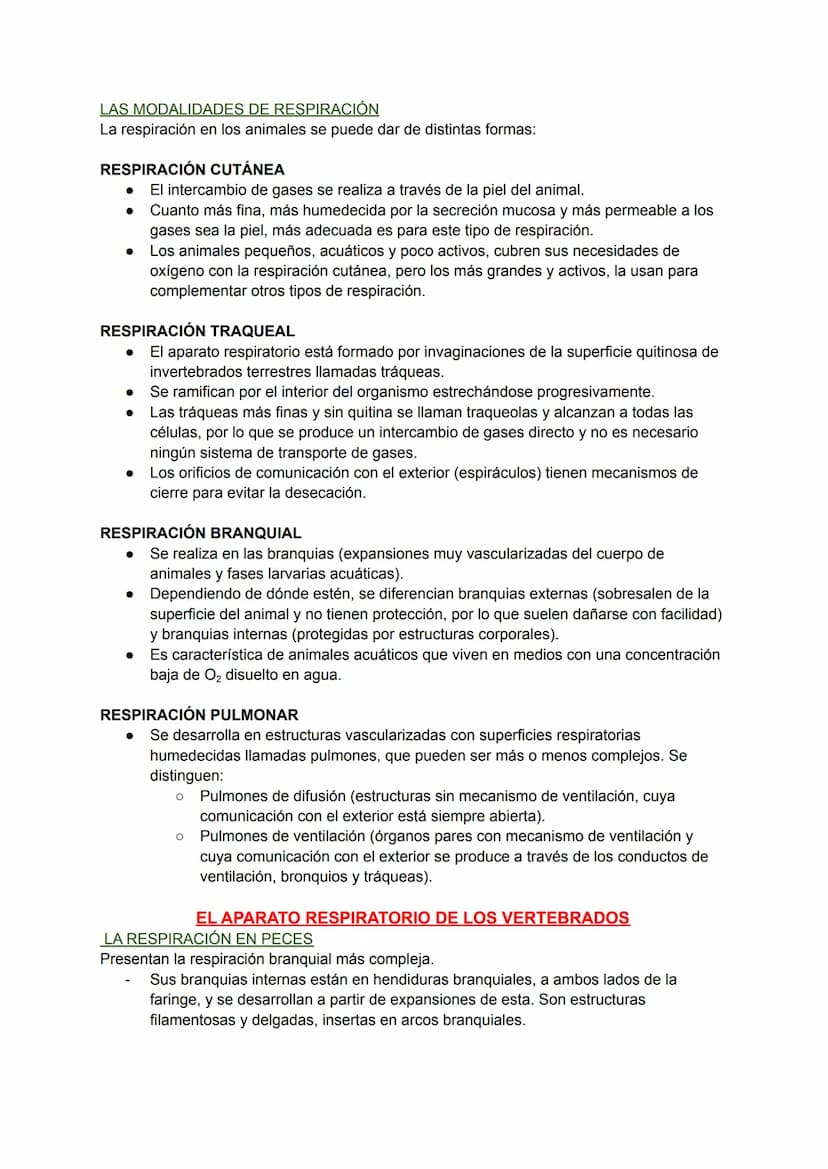 LOS PROCESOS DIGESTIVOS
La nutrición de los animales es de tipo heterótrofa.
BIOLOGÍA TEMA 8
En animales sencillos (ej: poríferos, cnidarios