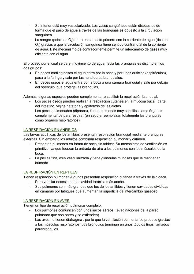 LOS PROCESOS DIGESTIVOS
La nutrición de los animales es de tipo heterótrofa.
BIOLOGÍA TEMA 8
En animales sencillos (ej: poríferos, cnidarios