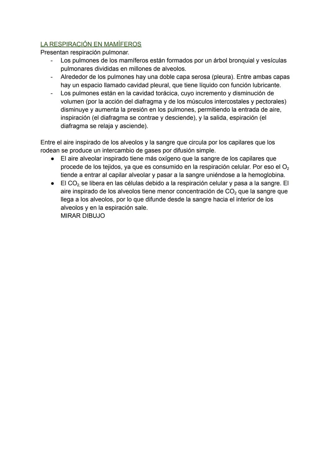 LOS PROCESOS DIGESTIVOS
La nutrición de los animales es de tipo heterótrofa.
BIOLOGÍA TEMA 8
En animales sencillos (ej: poríferos, cnidarios