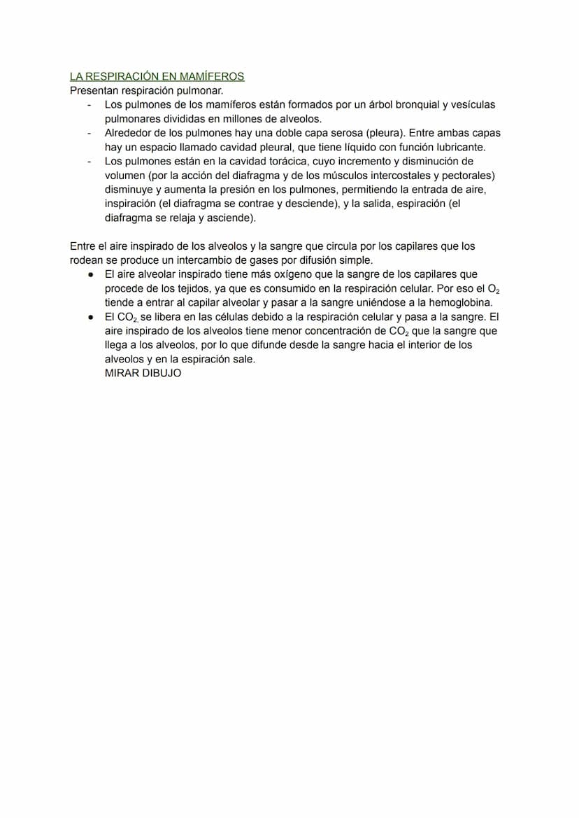 LOS PROCESOS DIGESTIVOS
La nutrición de los animales es de tipo heterótrofa.
BIOLOGÍA TEMA 8
En animales sencillos (ej: poríferos, cnidarios