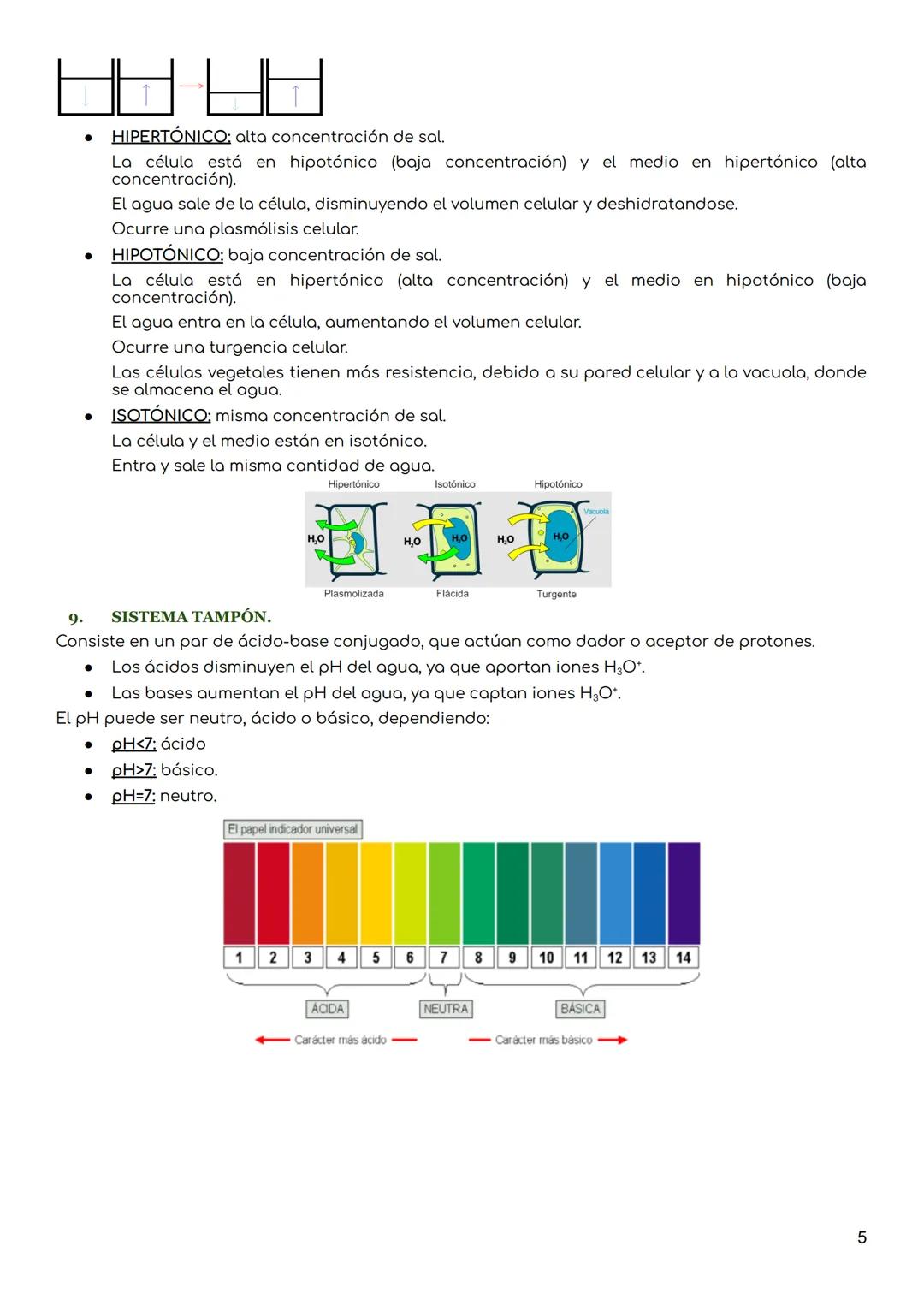 1.
Átomos y moléculas.
CARACTERÍSTICAS DE LOS SERES VIVOS.
- Tienen una estructura compleja y organizada, que consta en buena parte de moléc