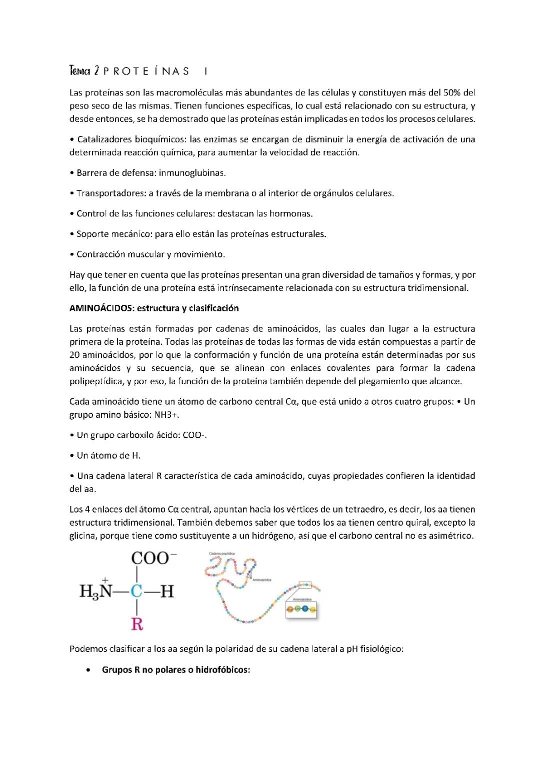 Las proteínas en la biología