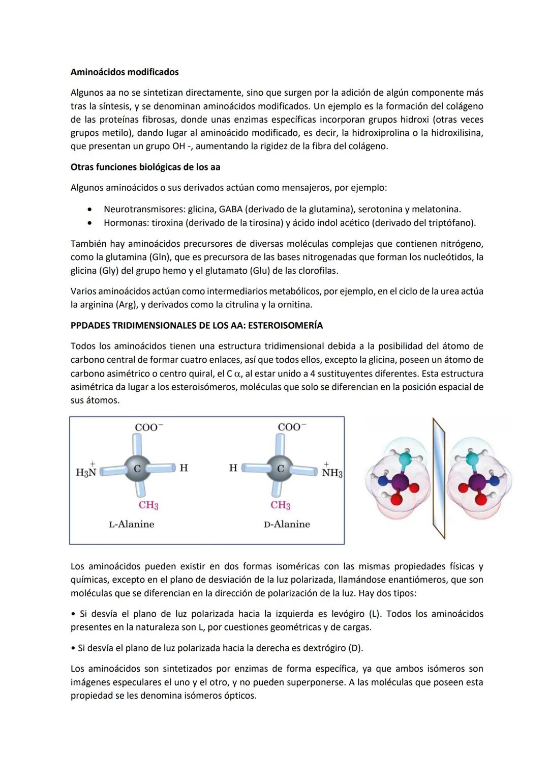 Tema 2 PROTEÍNAS I
Las proteínas son las macromoléculas más abundantes de las células y constituyen más del 50% del
peso seco de las mismas.