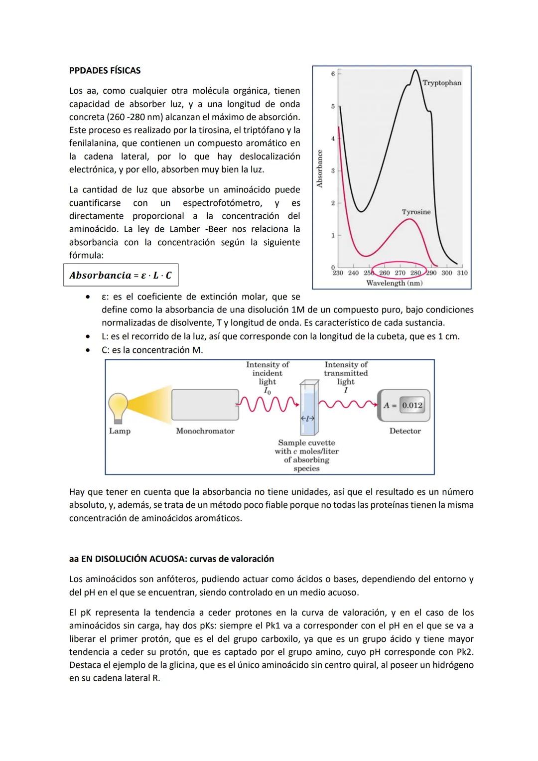 Tema 2 PROTEÍNAS I
Las proteínas son las macromoléculas más abundantes de las células y constituyen más del 50% del
peso seco de las mismas.
