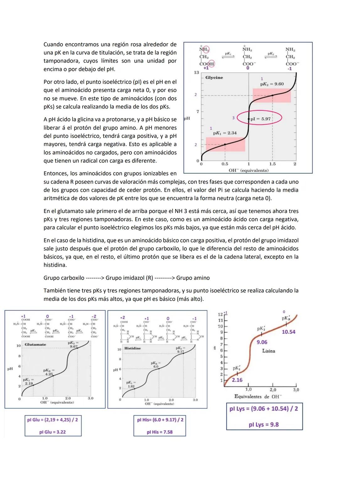 Tema 2 PROTEÍNAS I
Las proteínas son las macromoléculas más abundantes de las células y constituyen más del 50% del
peso seco de las mismas.