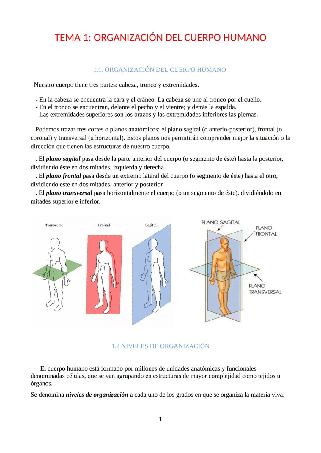 TEMA 1: ORGANIZACIÓN DEL CUERPO HUMANO
1.1. ORGANIZACIÓN DEL CUERPO HUMANO
Nuestro cuerpo tiene tres partes: cabeza, tronco y extremidades.
