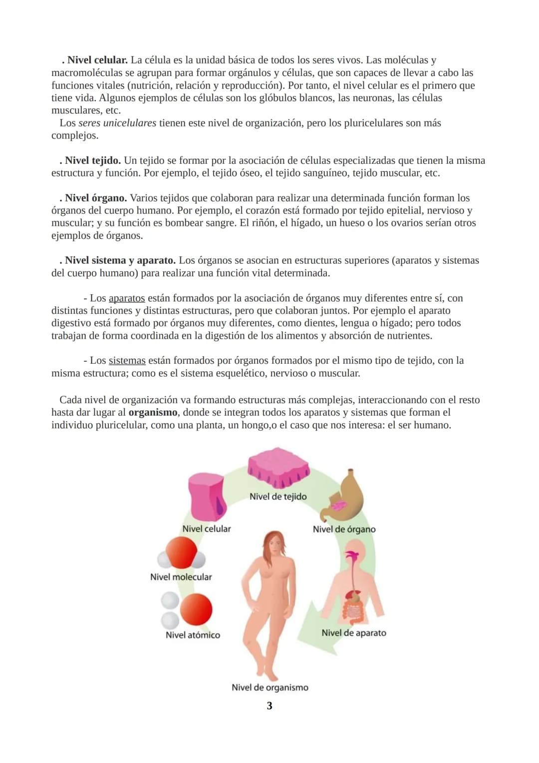 TEMA 1: ORGANIZACIÓN DEL CUERPO HUMANO
1.1. ORGANIZACIÓN DEL CUERPO HUMANO
Nuestro cuerpo tiene tres partes: cabeza, tronco y extremidades.
