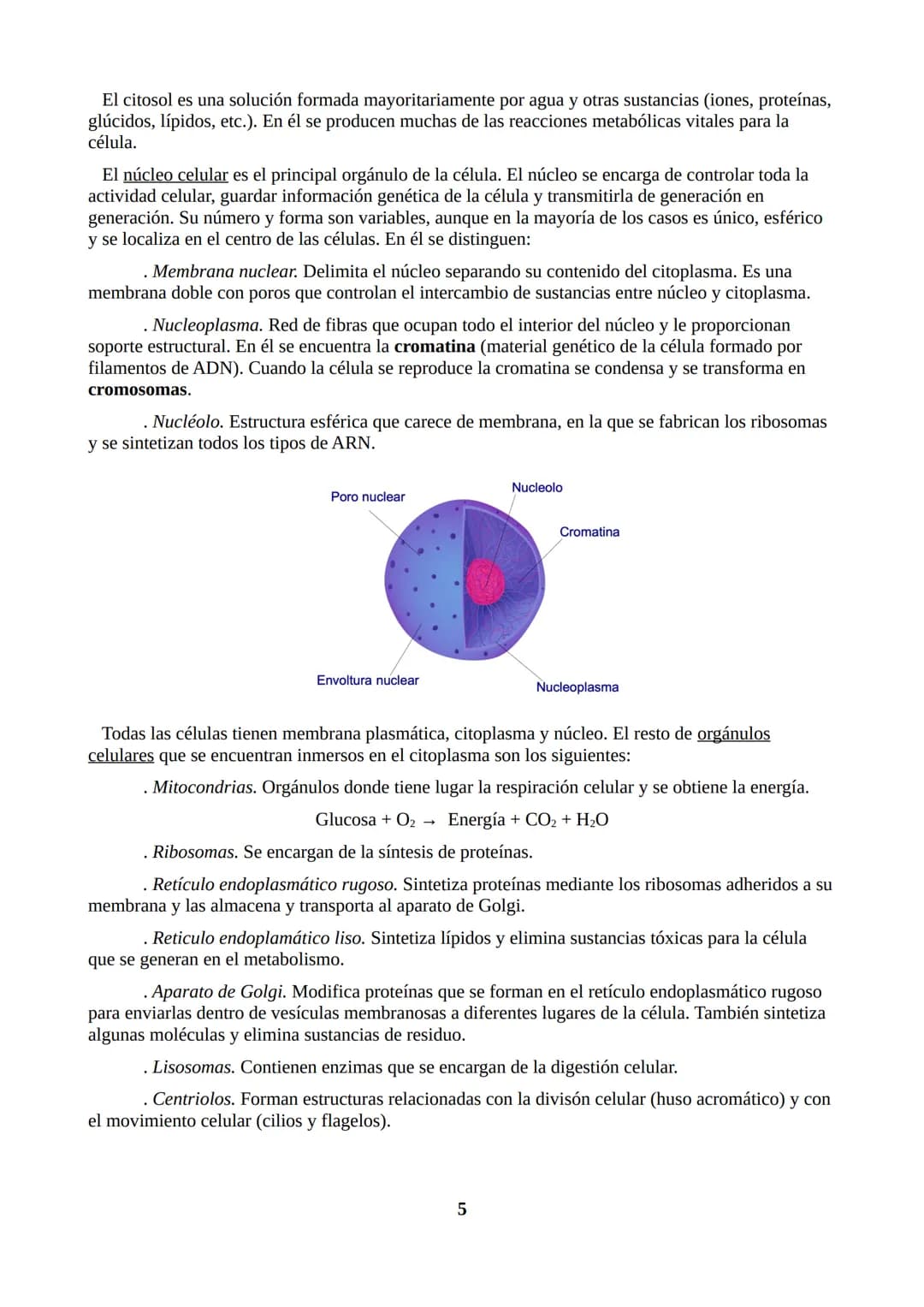TEMA 1: ORGANIZACIÓN DEL CUERPO HUMANO
1.1. ORGANIZACIÓN DEL CUERPO HUMANO
Nuestro cuerpo tiene tres partes: cabeza, tronco y extremidades.
