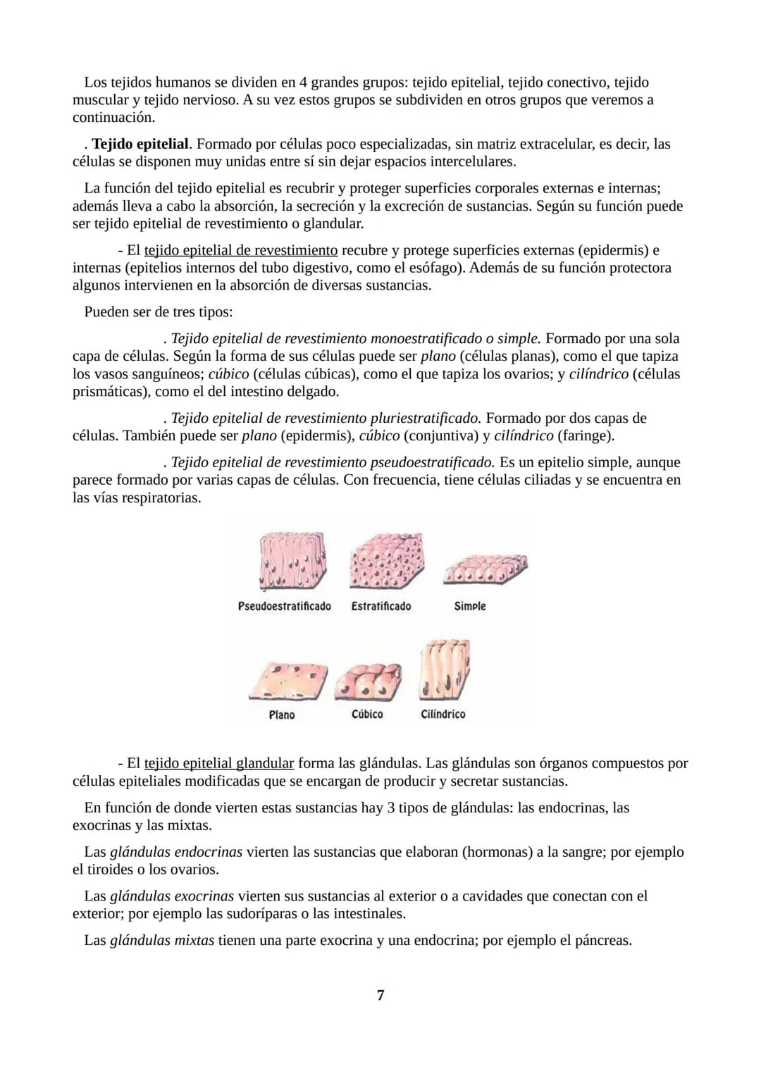 TEMA 1: ORGANIZACIÓN DEL CUERPO HUMANO
1.1. ORGANIZACIÓN DEL CUERPO HUMANO
Nuestro cuerpo tiene tres partes: cabeza, tronco y extremidades.
