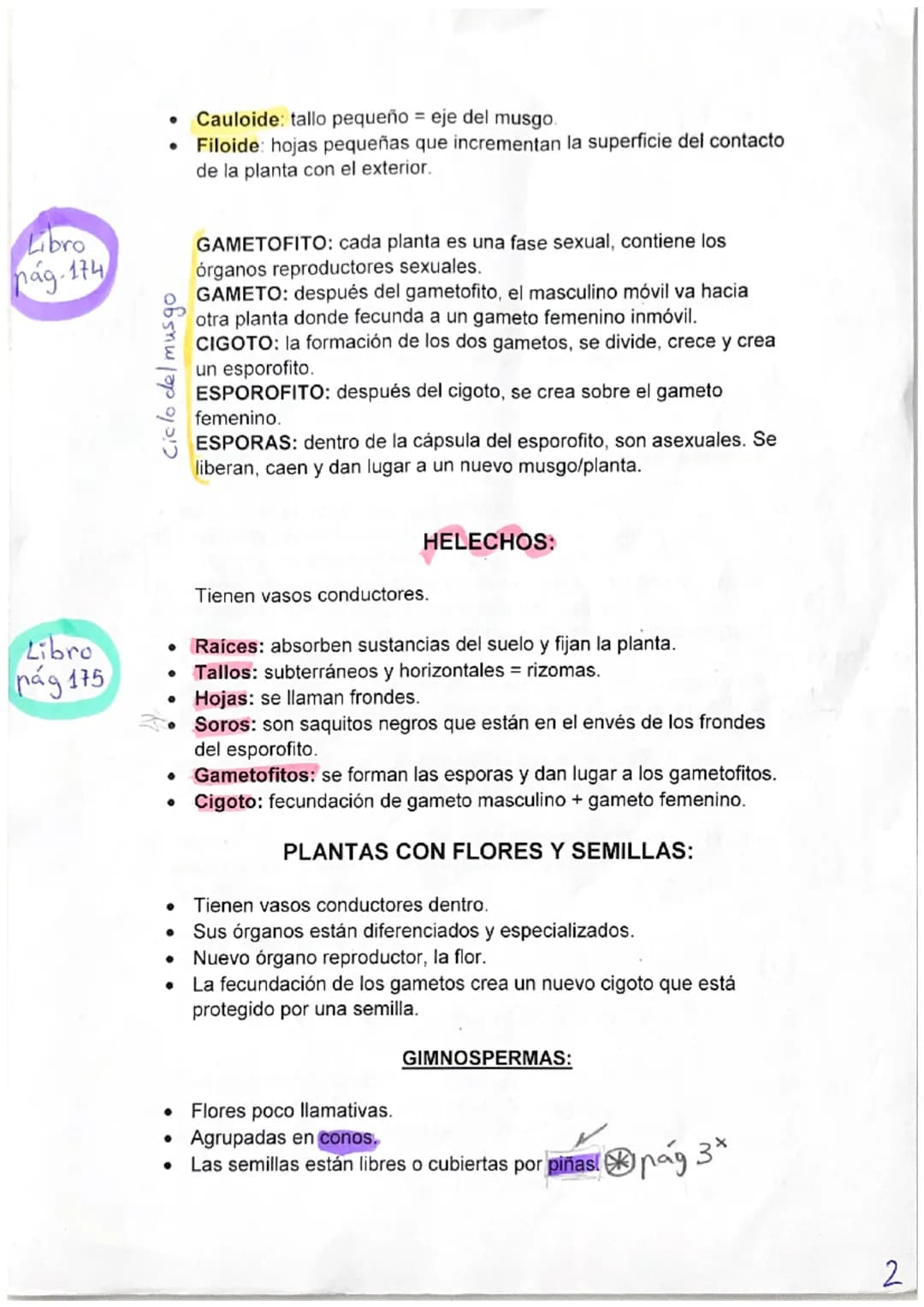 BIOLOGÍA
PRINCIPALES CARCTERÍSTICAS DE LAS PLANTAS:
No pueden desplazarse pero si se mueven.
Crecen y se desarrollan durante toda su vida.
•