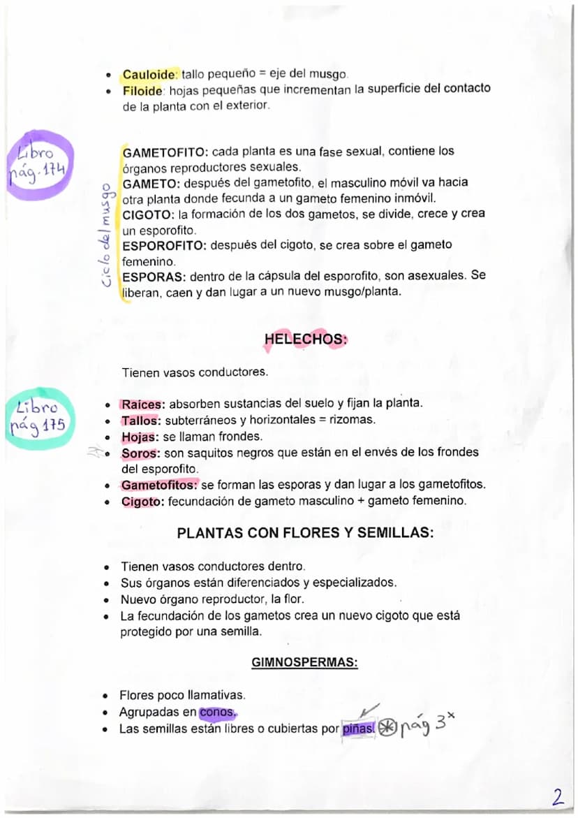 BIOLOGÍA
PRINCIPALES CARCTERÍSTICAS DE LAS PLANTAS:
No pueden desplazarse pero si se mueven.
Crecen y se desarrollan durante toda su vida.
•