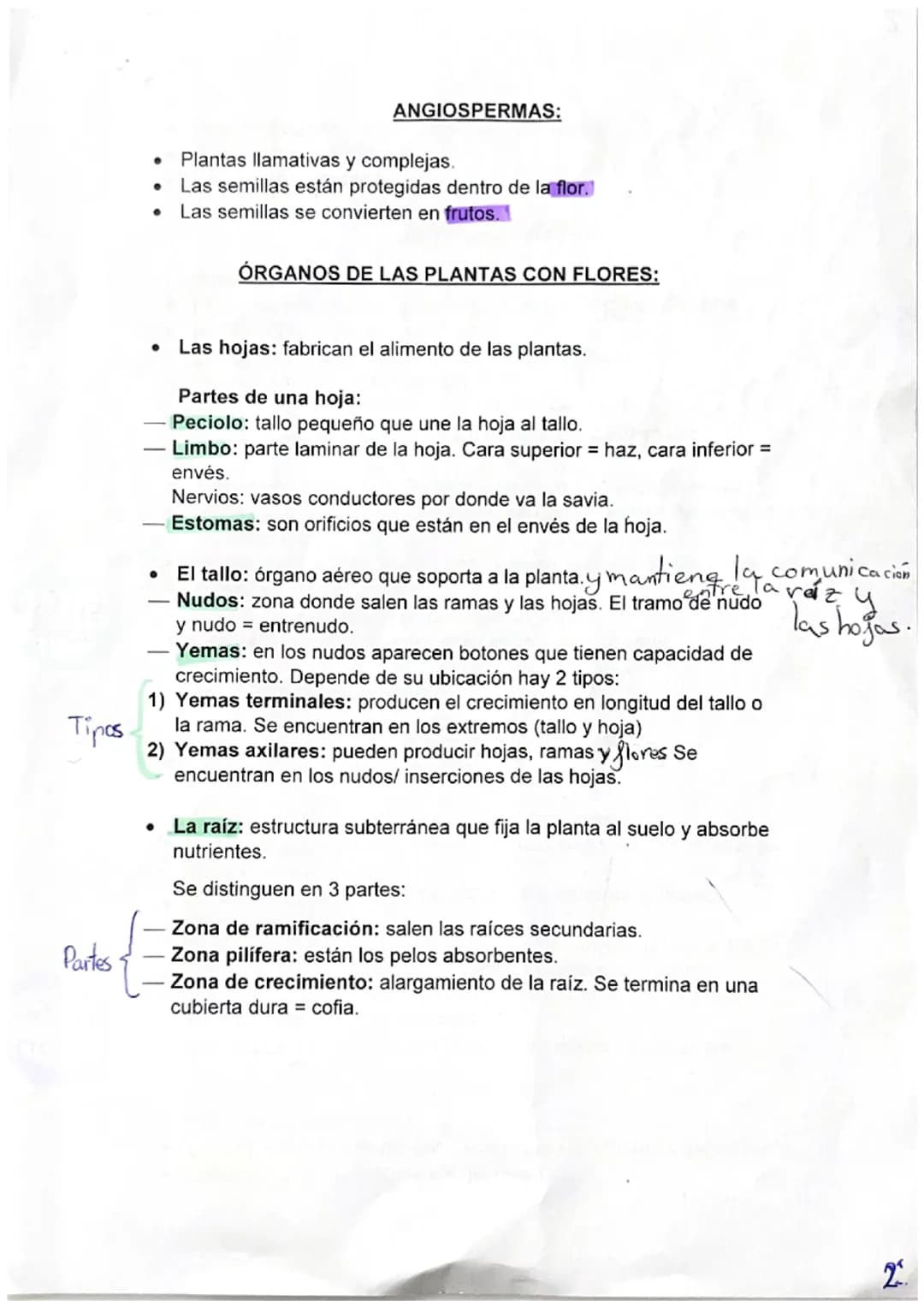 BIOLOGÍA
PRINCIPALES CARCTERÍSTICAS DE LAS PLANTAS:
No pueden desplazarse pero si se mueven.
Crecen y se desarrollan durante toda su vida.
•
