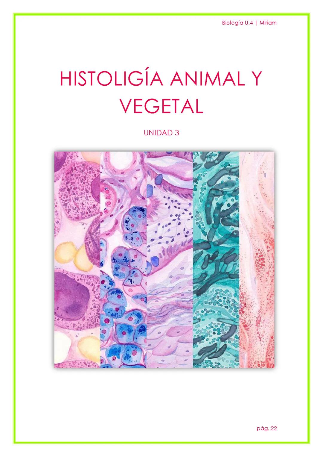 Unidad 3: Histología Animal y Vegetal