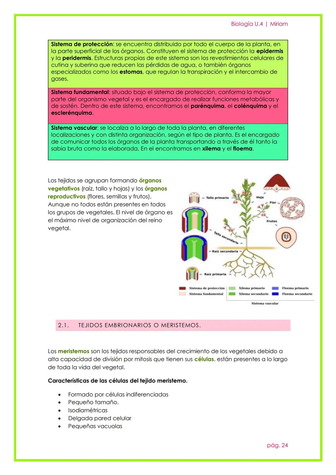 # Histología Animal y Vegetal

UNIDAD 3

Biología U.4 | Miriam

pág. 22 # 1. LA ORGANIZACIÓN PLURICELULAR. LOS TEJIDOS.

Un organismo pluric