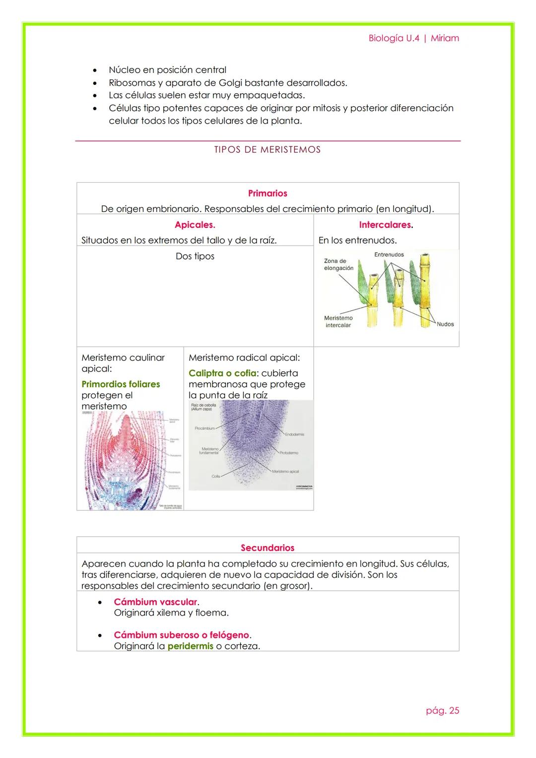 # Histología Animal y Vegetal

UNIDAD 3

Biología U.4 | Miriam

pág. 22 # 1. LA ORGANIZACIÓN PLURICELULAR. LOS TEJIDOS.

Un organismo pluric