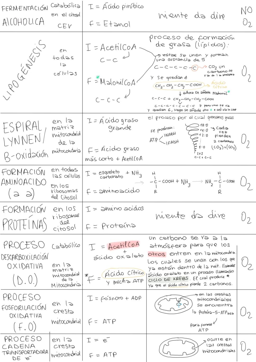 Bio-química
Bioelementos aquellos elementos
Biogénicos químicos (en la tabla periódica) presentes
en las estructuras vivas. Hay 3 grandes ti