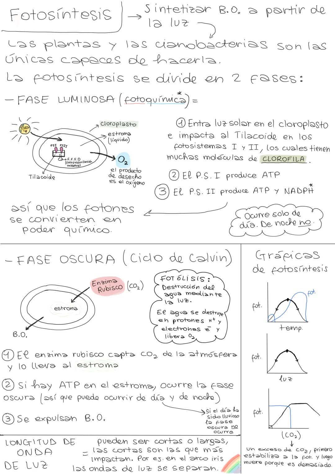 Bio-química
Bioelementos aquellos elementos
Biogénicos químicos (en la tabla periódica) presentes
en las estructuras vivas. Hay 3 grandes ti
