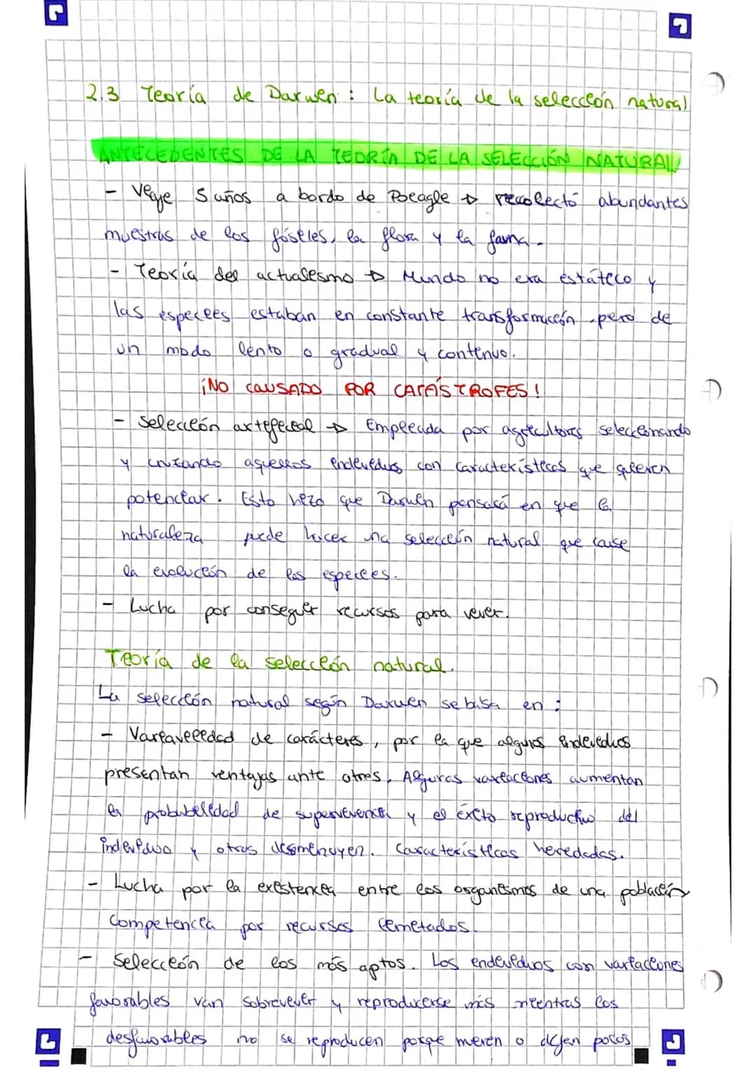 ¿Cuál es el origen de la vida en la Tierra? Teorías y Resumen para Niños